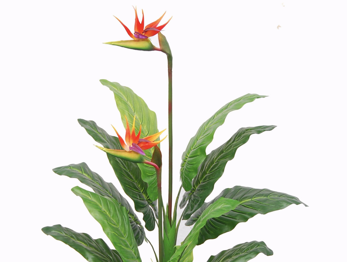 AMERIQUE Unique And Gorgeous Large 5' Paradise Bird Flower Artificial Plant Real Touch Technology, with Nursery Plastic Pot, with UV Protection, for Both Indoor and Outdoor display