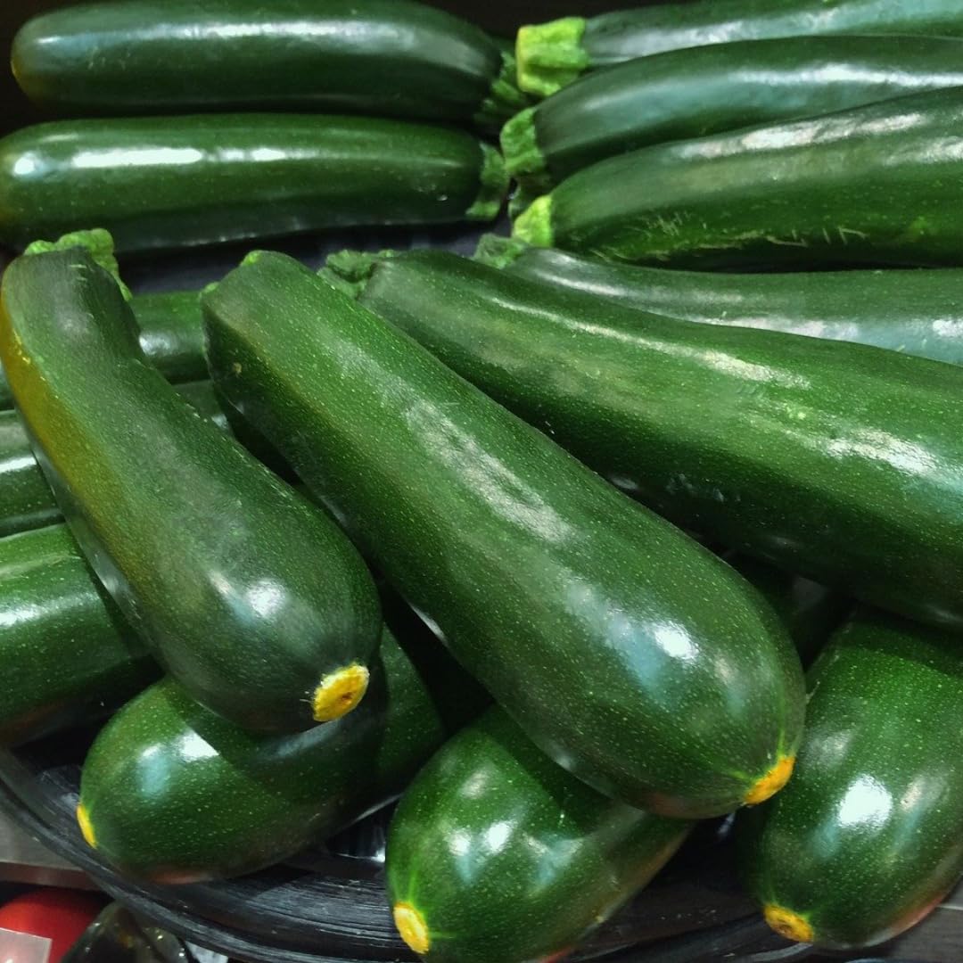 2 Green Squash Plants Live, 4 to 6 Inch Tall, Squash Zucchini Plants Gardening