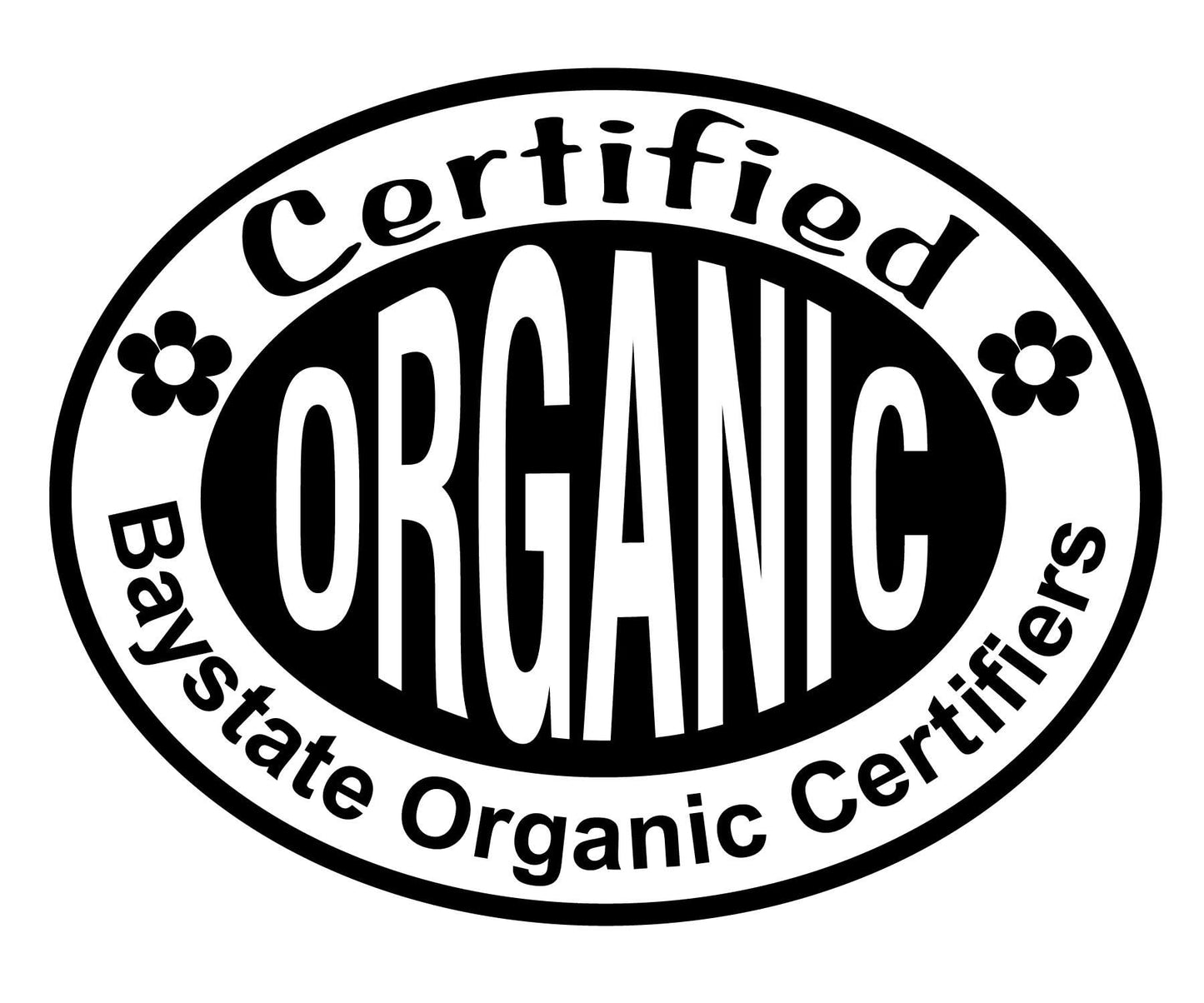 Smoke Camp Crafts Organic Elderberry Stake (Sambucus Canadensis) Perennial Elderberry Bush Starter Plant