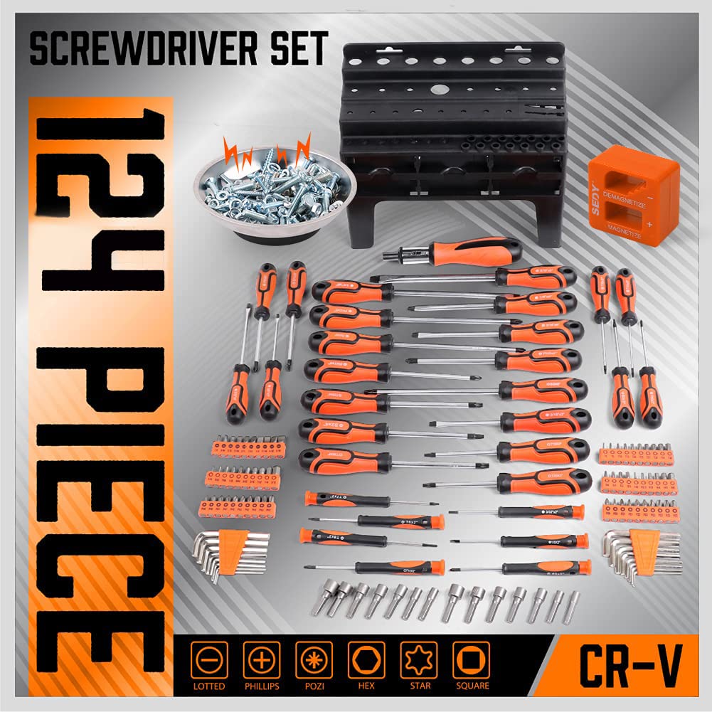 124-Piece Magnetic Screwdriver Set with Plastic Racking, Precision Screwdrivers, Magnetizer, Demagnetizer, Allen Keys, Nut Drivers, Ratchet Handles, Sockets & More - DIY Tools for Men, Tools Gift