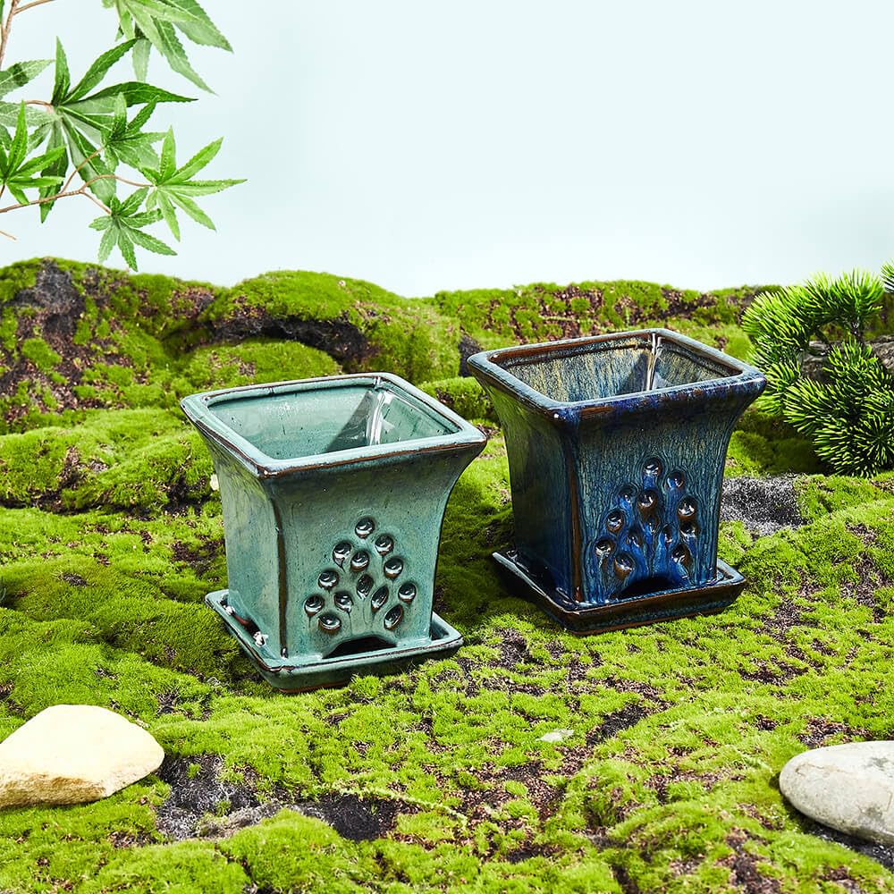 Ceramic Orchid Pots with Holes attached Saucers 4.8 Inches - Set of 2 Small Square Orchid Pots for Repotting, Decorative Ceramic Orchid Planter with Hole for Healthy Root Growth Blue and Green