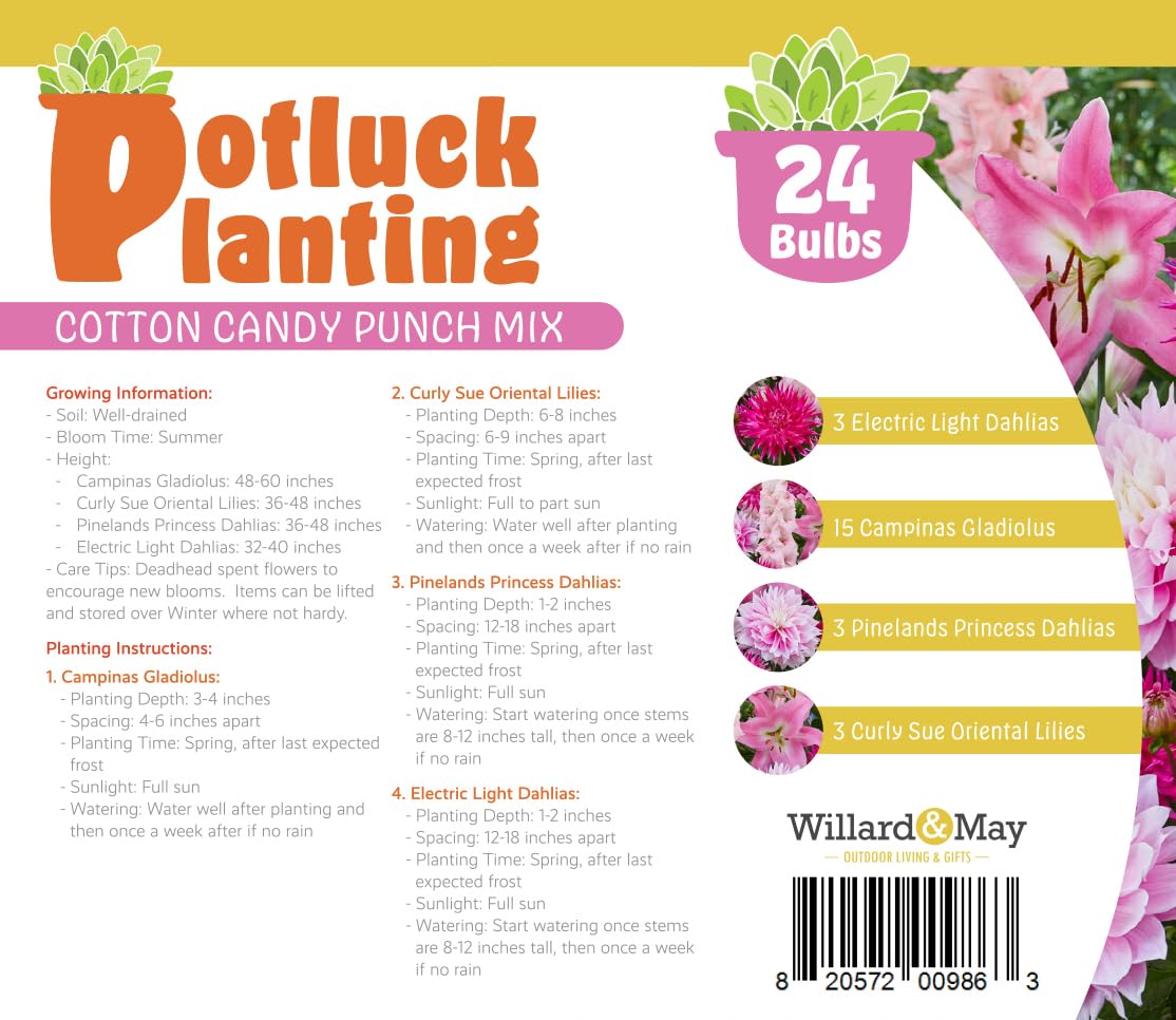 All-in-One Flower Bulb Garden Kit - Cotton Candy Punch Mix - 24 Flower Bulbs per Box - Dahlias, Gladiolus, Lilies - Fragrant - Naturalizing - Live Outdoor Potluck Planting - Easy to Plant Flowers