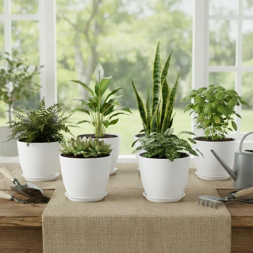 Vanslogreen Plant Pots 8 Inch Set of 6, Flower Pots with Drainage Holes and Saucer, Plastic Garden Planters for Indoor & Outdoor Plants (White)