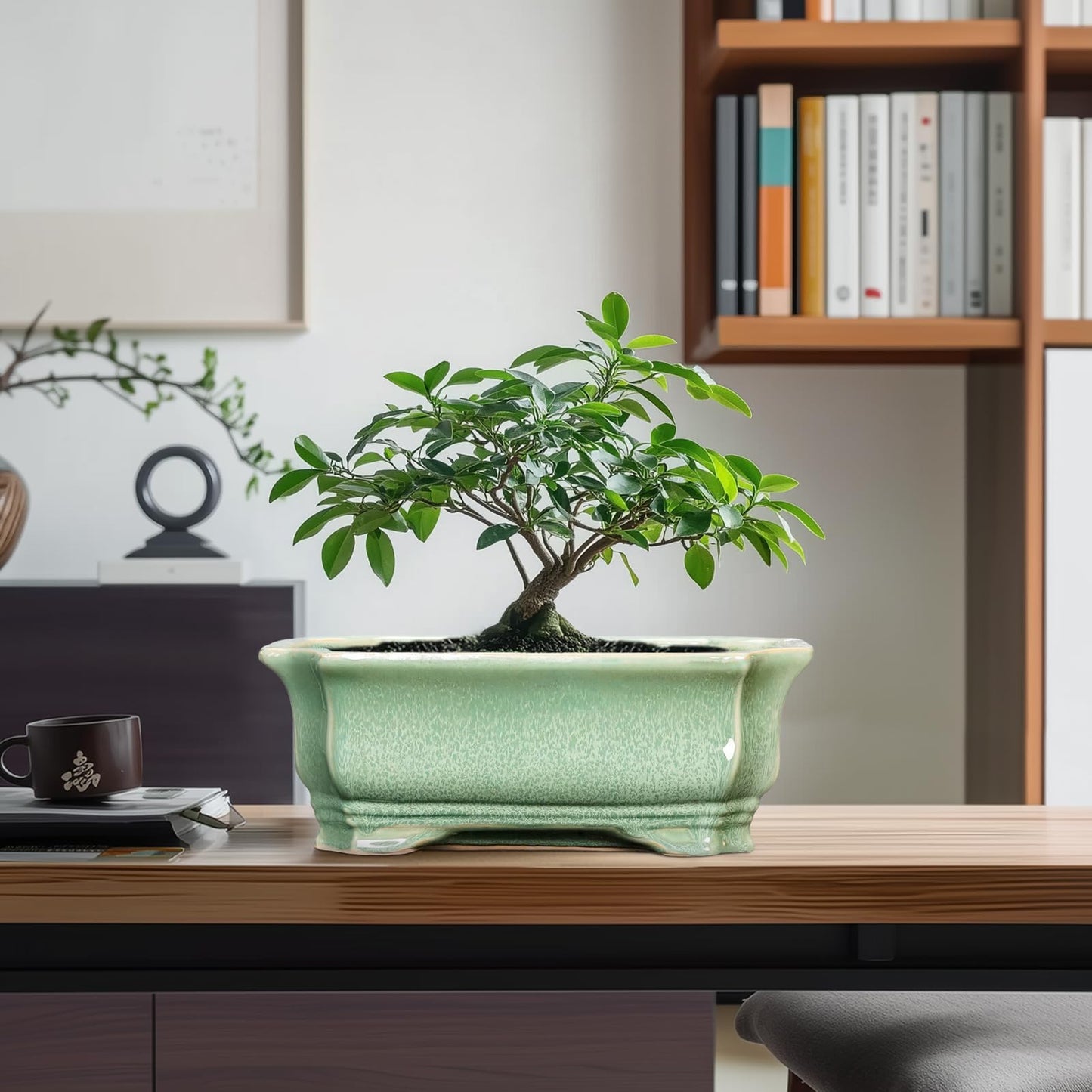 Teagas Bonsai Tree Pot 11.6 Inch - Ceramic Succulent Pots, Bonsai Planter for Indoor Outdoor, Decorative Plant Pot with Drainage Hole, Rectangular Flower Pot, Home Garden Decor, Garden Gifts, Green