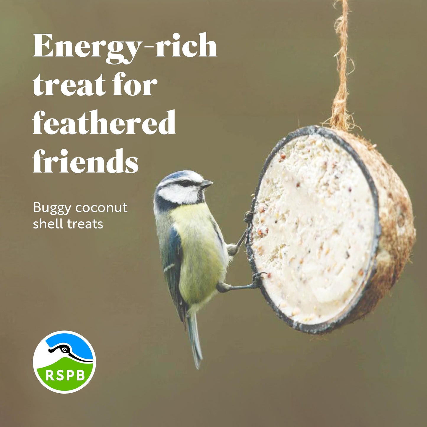Coconut Bird Feeder Halves, Wild Bird Food for Small Birds with Suet, Dried Mealworms, Seeds, and Cereals, High Energy Food, Filled in the UK, Suitable for Year-Round Feeding - RSPB x 10 (320g)