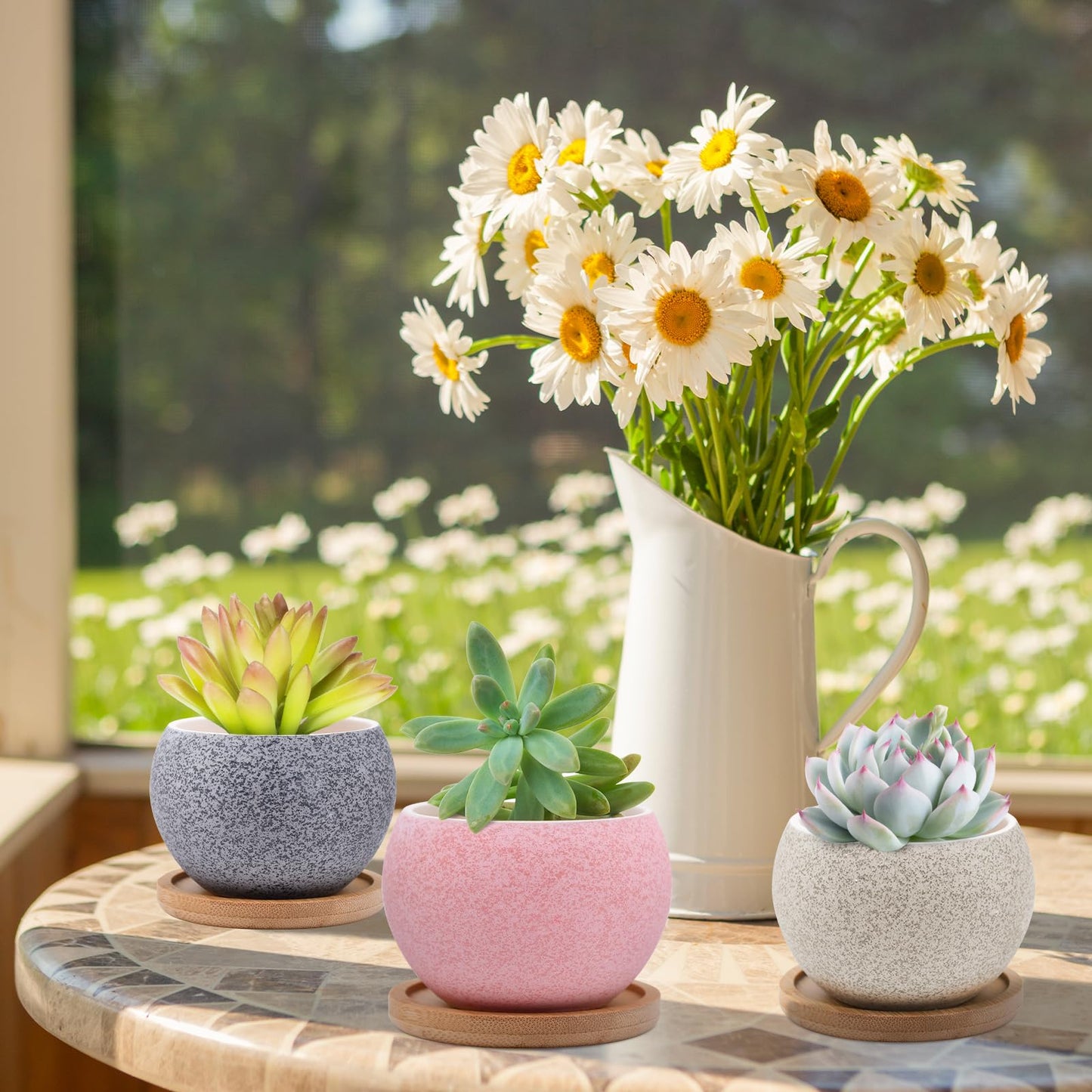 6 Pack Ceramic Succulent Pots with Drainage – Small Round Planters for Indoor Plants & Cactus, Mini Flower Pots with Bamboo Trays, Desk & Home Décor, Gift for Plant Lovers, Office, Balcony, Garden