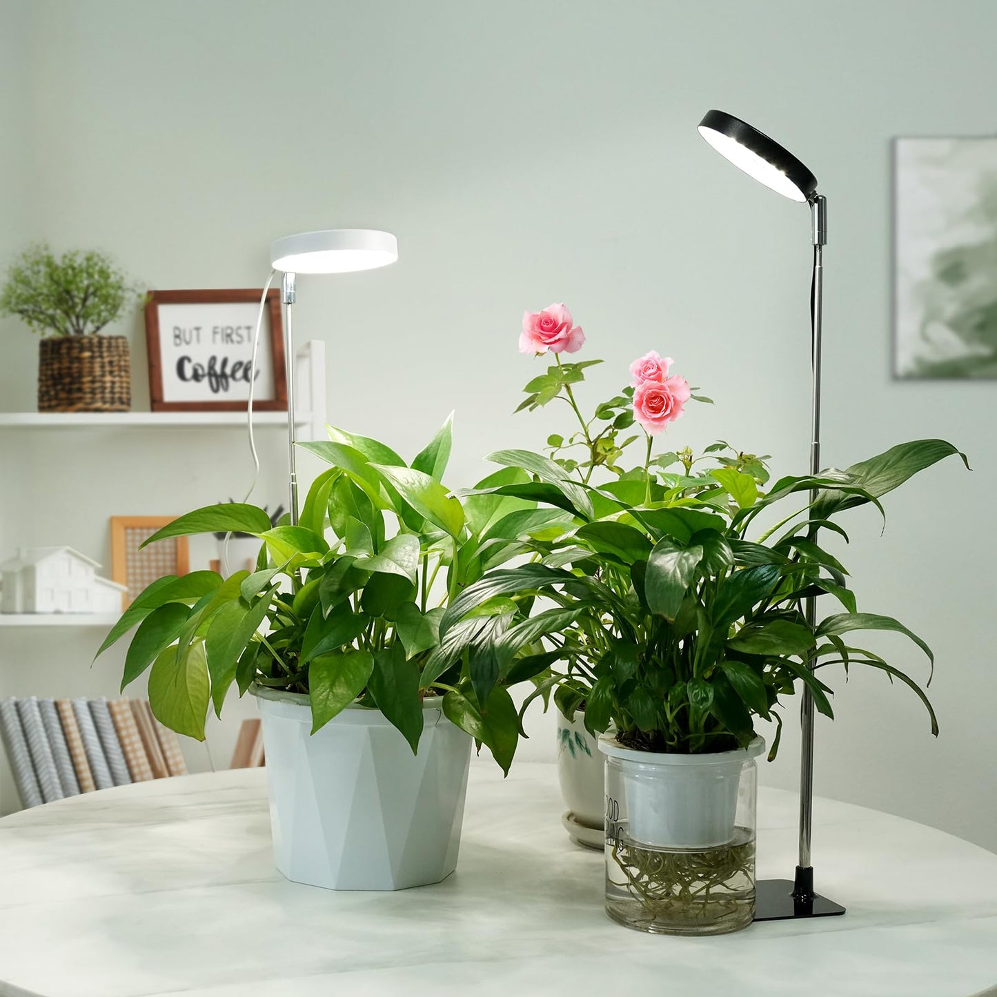 YUYMIKA Grow Lights for Indoor Plants Full Spectrum, 48 LEDs Plant Light for Indoor Plants with 2 Mounting Options, 3 Optional Spectrums, 3/9/12Hrs, 10 Brightness, 7"-26" Height Adjustable (Black)