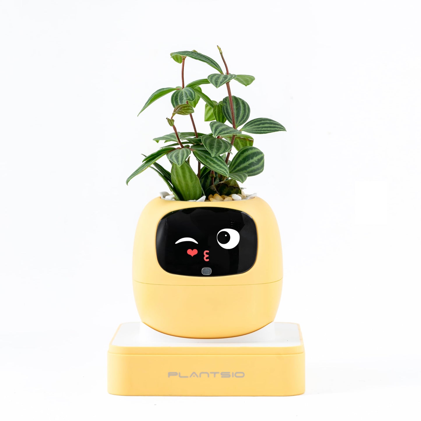 PLANTSIO Ivy Interactive AI Desk Companion, Smart Plant Pet with 100+ Expressions, Cute Indoor Planter for Office Decor, Unique Gift for Plant Lovers & Coworkers(Lemon)