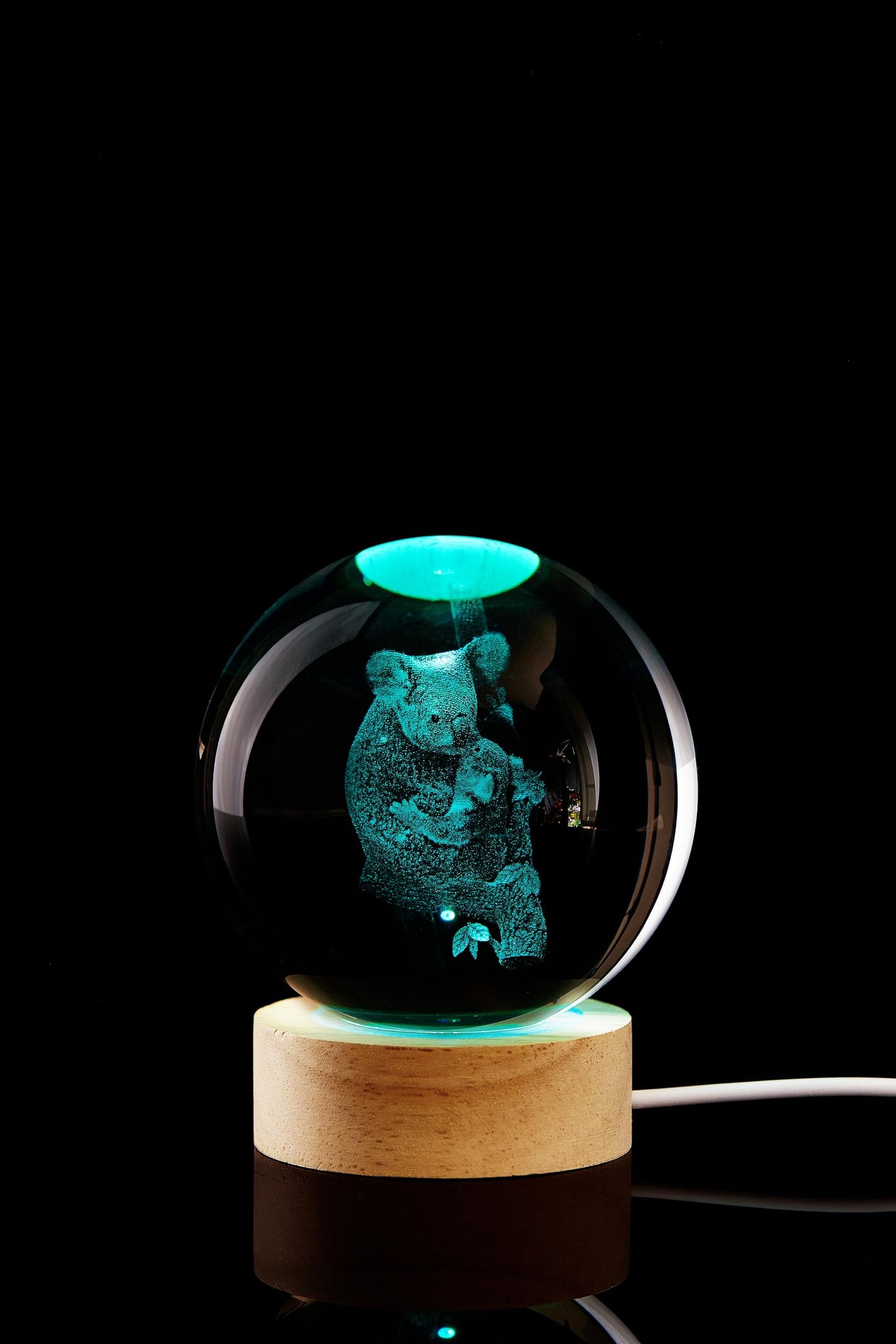 Conalisk 3D Koala Crystal Ball Lamp,Lifelike Bear Crystal Night Light,16 Colors Changing Light,Dimmable Remote Control,Desk Koala Lamp (M)