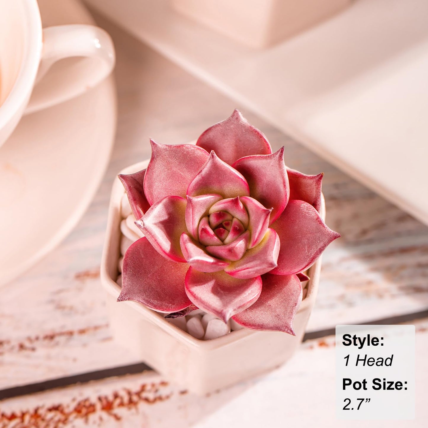 Echeveria Agavoides Romeo Rare Live Succulent Plants, Red 1 Head 2.7" Live Plant, Bare root without Pot Soil, Garden Indoor Office Desk, Wedding Party Baby Shower Decoration, Friend Plant Lovers Gifts