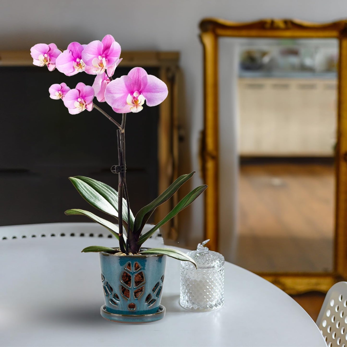 W&W Orchid Pot with Holes and Saucer for Repotting, Teal, 5.5 Inch