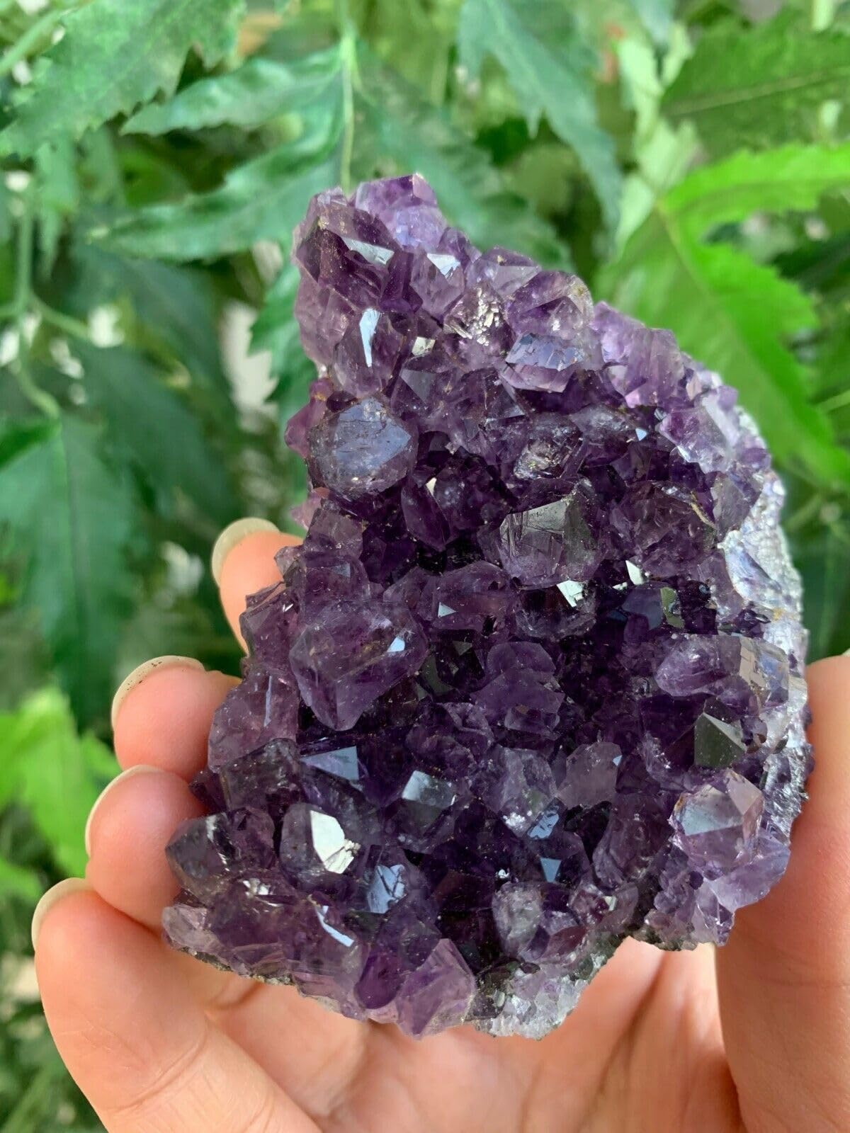 GAF TREASURES Deep Purple Amethyst Cluster, Natural Amethyst Geode, Amethyst Druze, Raw Amethyst Crystal (0.5-1 lb)