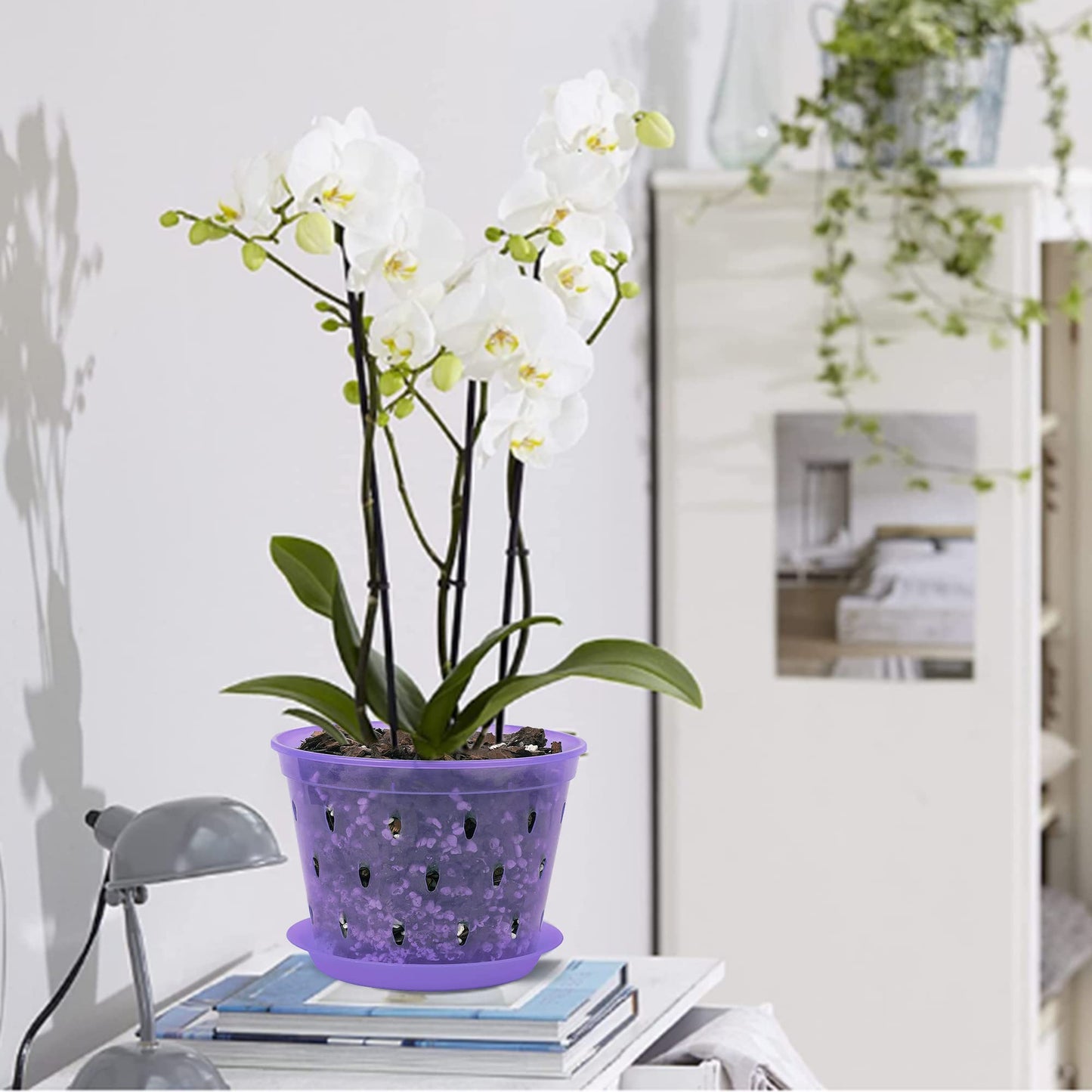 lanccona Orchid Pot, 6.7 Inch 8 Pack Orchid Pots with Holes and Saucers,Plastic Orchid Planter - Purple Amethyst