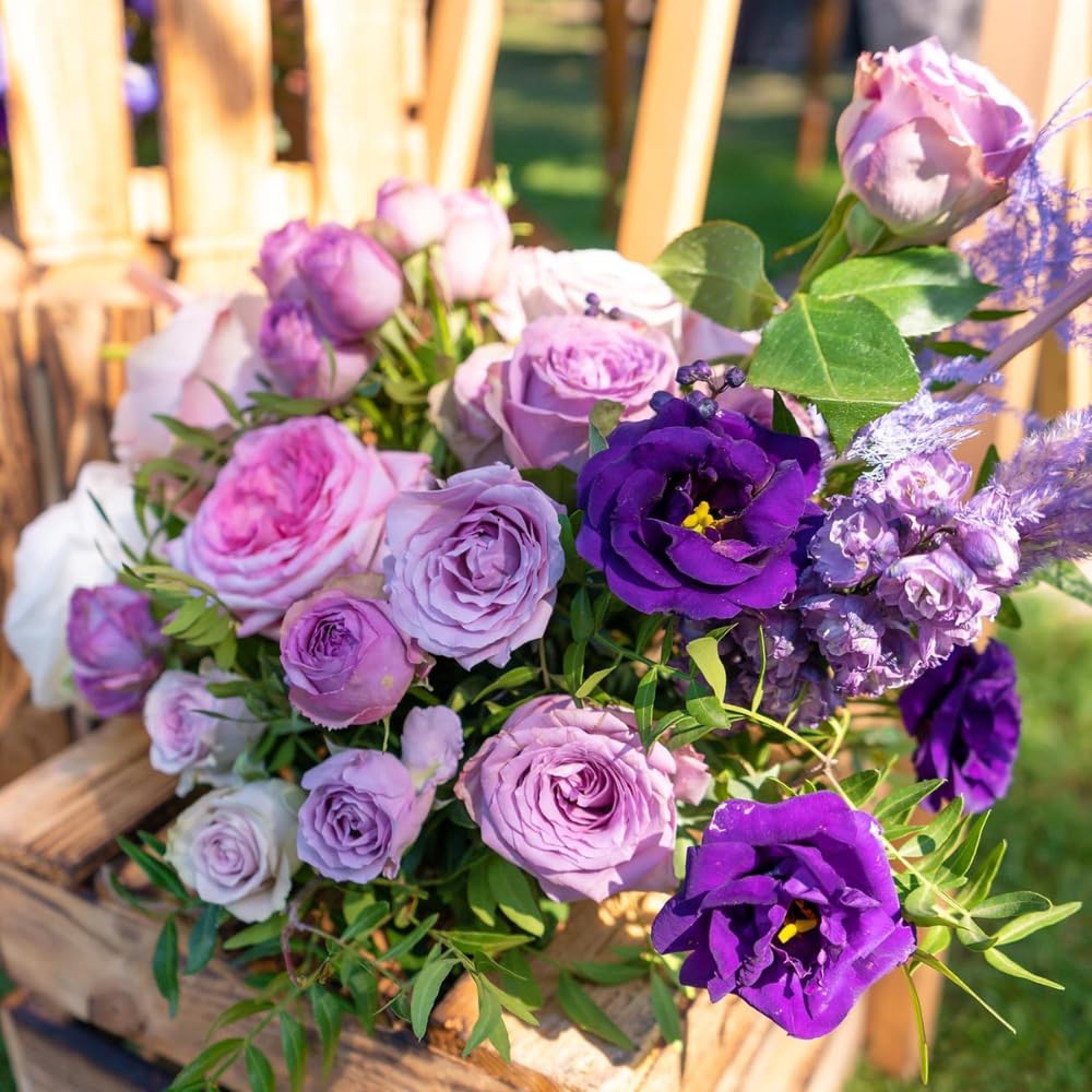 2 Eustoma Lisianthus Live Plants, Lisianthus Flowers Seedlings, 2-3 Inch Tall Well-Rooted Plug, Lisianthus Plants (Mix Lisianthus)
