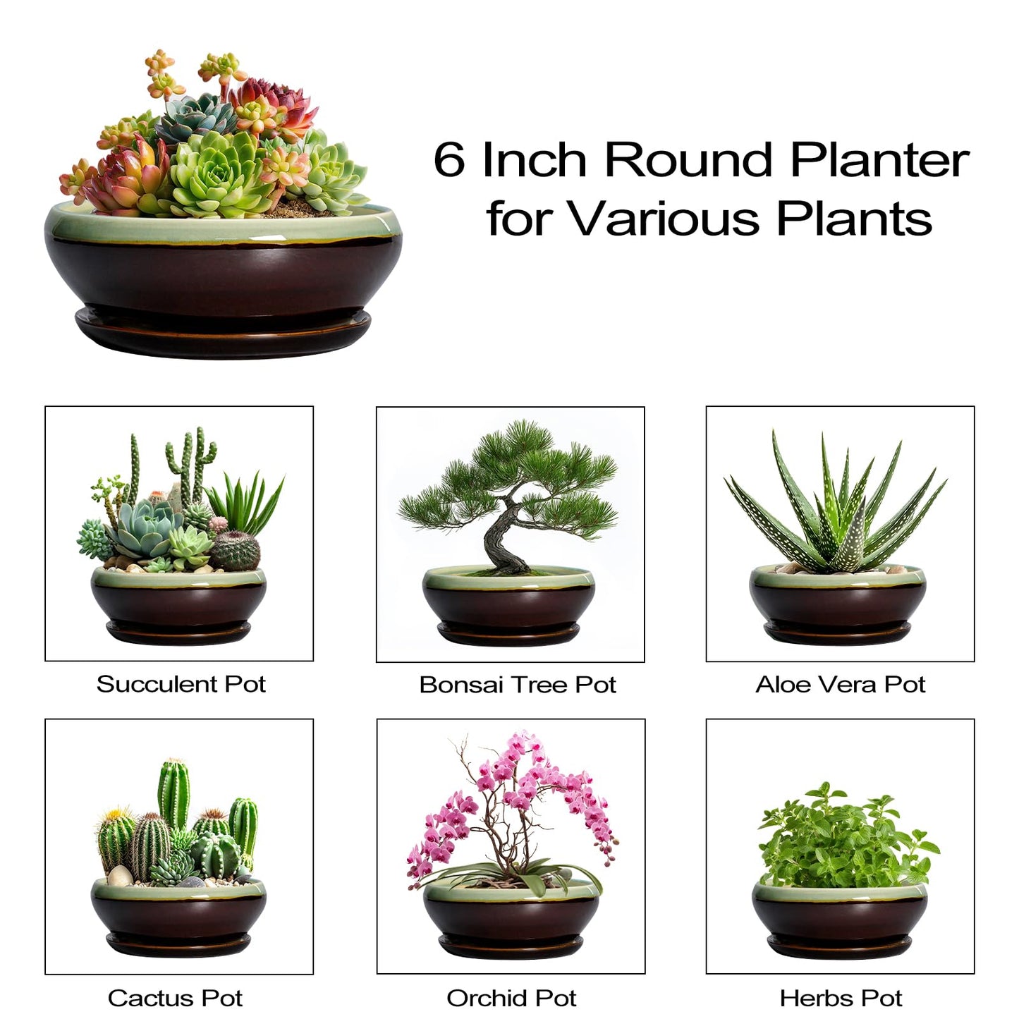 SQOWL Succulent Pots 6 Inch - Shallow Ceramic Planter, Bonsai Pot with Drainage Hole and Saucer, Round Ceramic Succulent Planter for Indoor Outdoor Plant, Kitchen Decor, Plant Lover Gift, Green-Brown
