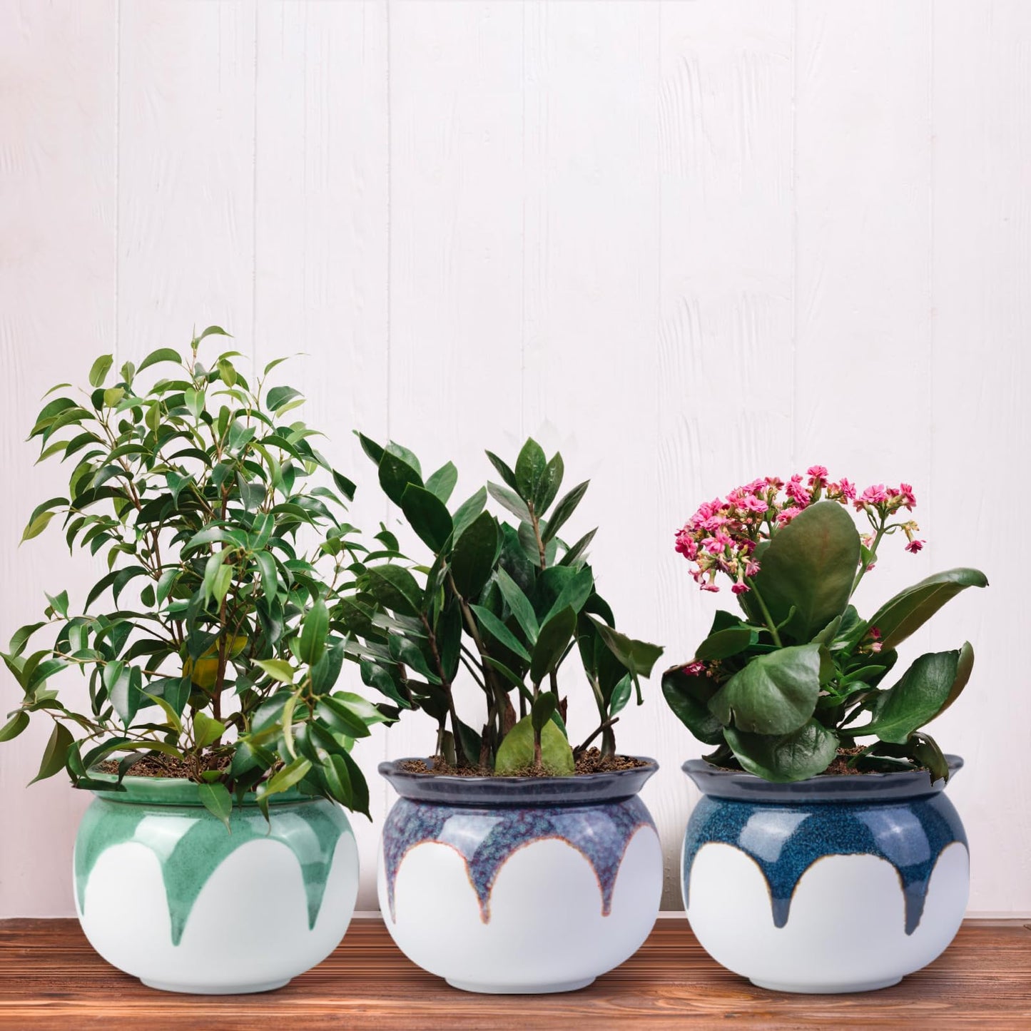 LITUDISO African Violet Pots, 6 Inch Self Watering Pots for Indoor Plants, Easy Plant Self Watering Planter, Ceramic Plant Pot with Absorbent Inner Pot for Flowers - Gradient Blue (No Plants)
