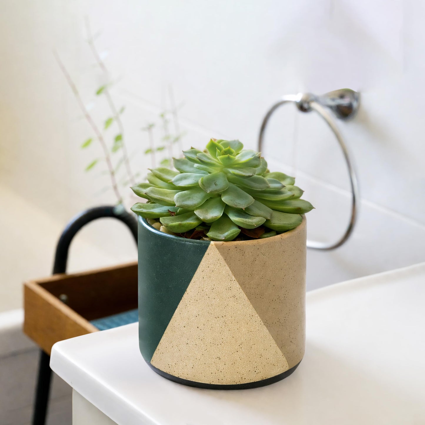 D'vine Dev 4.5" Stoneware Cachepot Planter with 4" Clear Nursery Pot & Detachable Saucer – Indoor Plant Pot with Drainage for Bottom Watering & Root Visibility, Desert Forest, Set of 2, 93-V-B-1