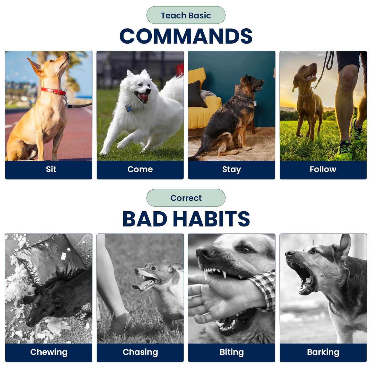 My Pet Command 1.25 Mile (6600 Ft) Dog Training Extra Collar Safe Dog Shock Collar Shock, Vibrate, Tone and Flashing Beacon Lights Waterproof Rechargeable Dog Hunting add Up to 3 Collars