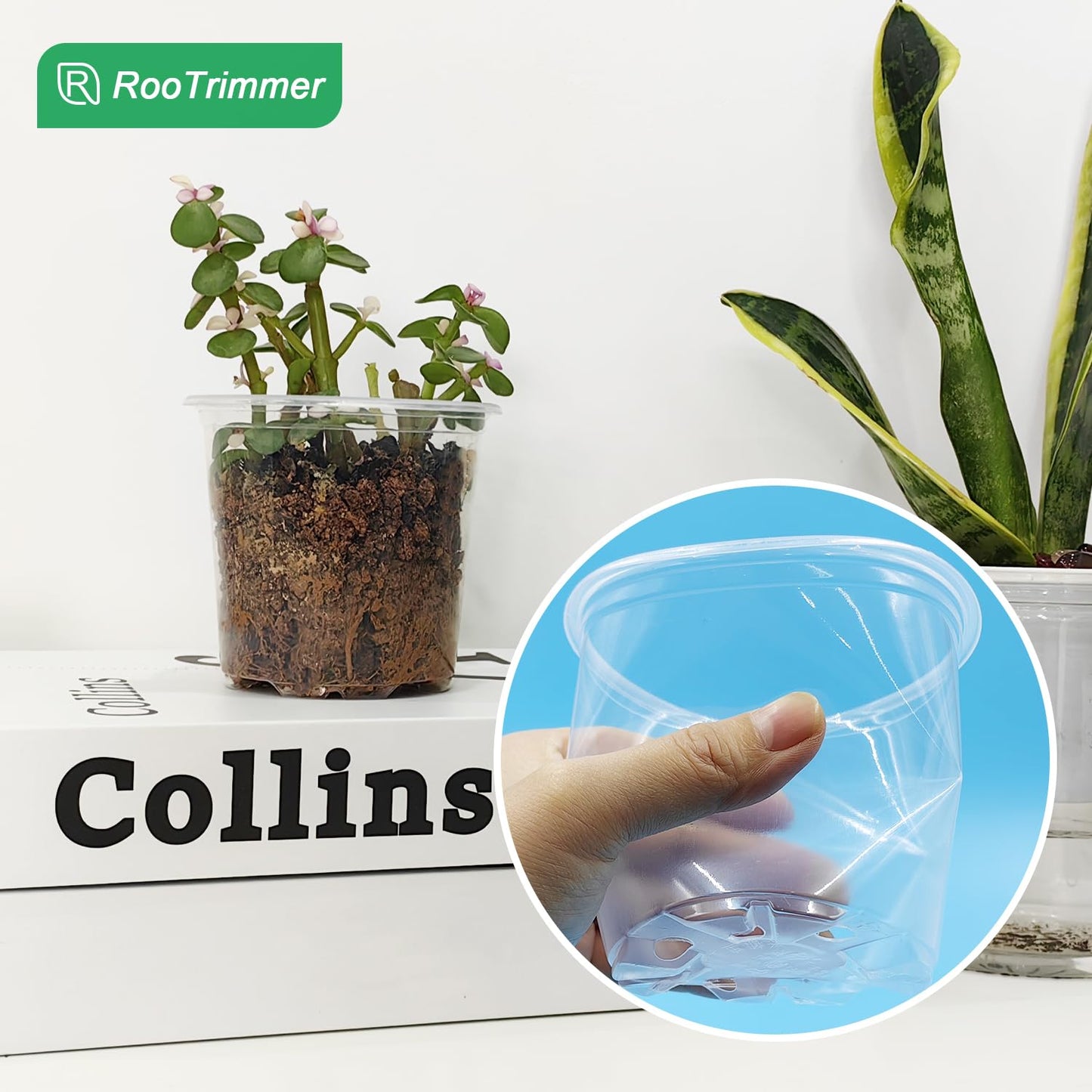 RooTrimmer 4" Clear Seeding Pots 50-Pack Round for Seeds Starting, Seeds Germination Transparent Nursery Pots with Drainage Holes (4Inch,Clear,50Pcs)