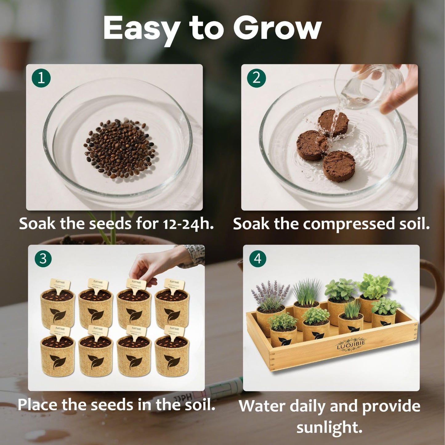 Indoor Herb Garden Start Kit - Unique Gifts for Women, Mothers Day Gifts, Easy House Plant- Birthday for Women,House Warming Gift New Home- Fresh Herb Garden DIY Crafts for Adults