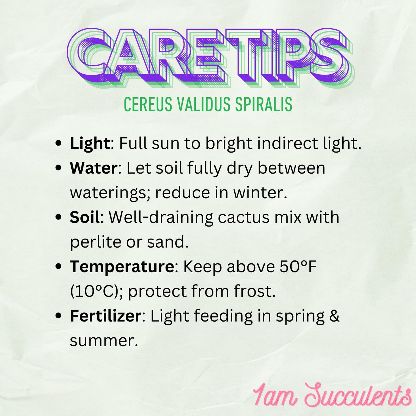 Spiral Cactus - Cereus Validus Spiralis β 8-10 inches Height, Rare Cactus Plant, Live Twisting Succulent, Fast-Growing & Drought-Tolerant β Exotic Statement Plant for Home & Garden