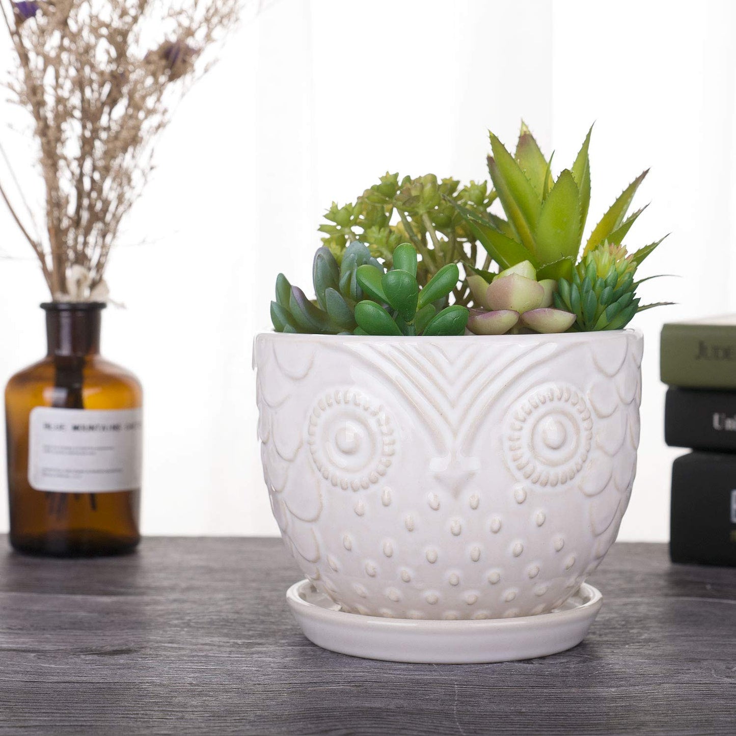 VanEnjoy 6.5 Inch White Owl Ceramic Planters Plant Pot for Medium Plant, Succulent, with Saucer