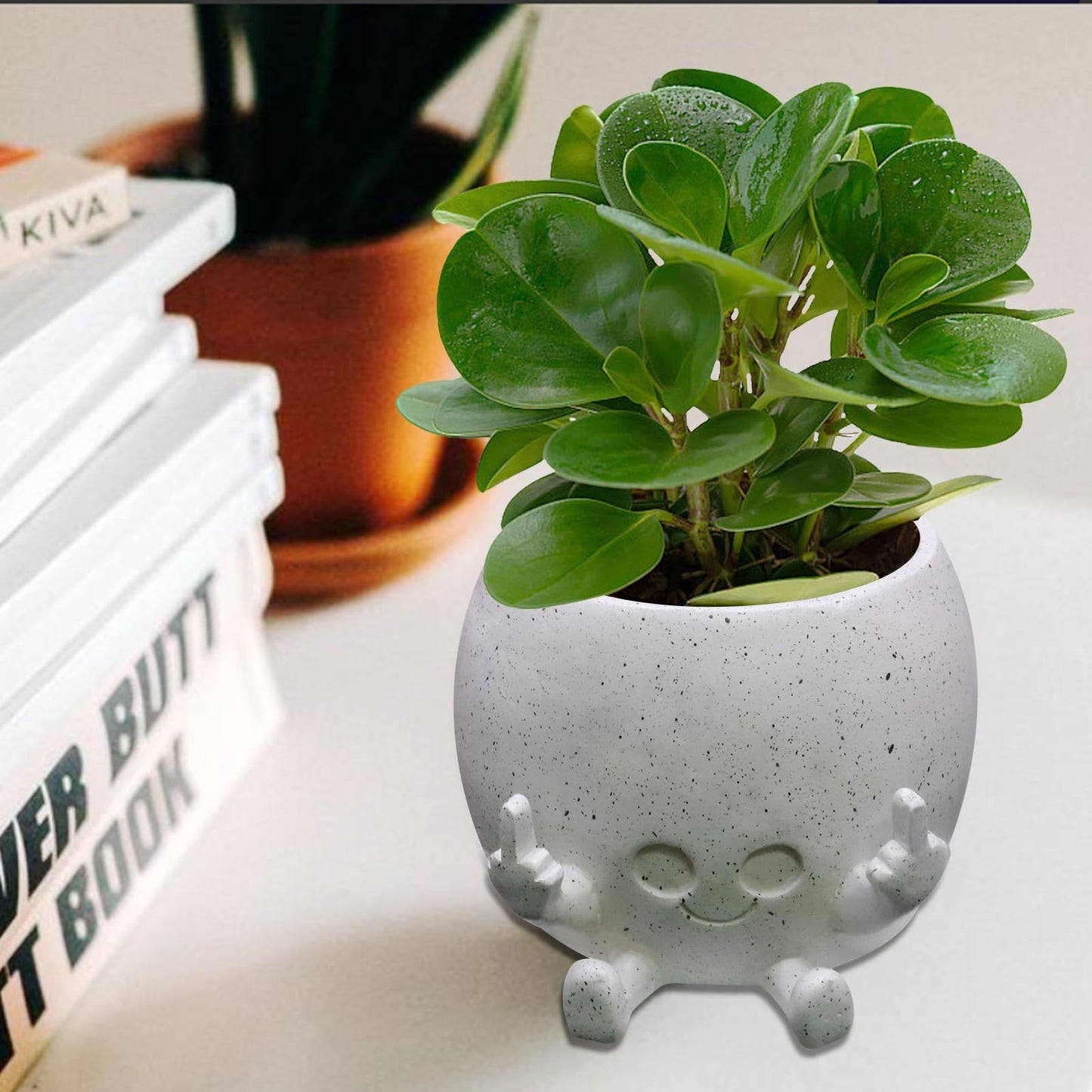 Toparad Smiling Plant Pot with Middle Fingers Up, Face Planter Pot Resin Flower Planters for Indoor Outdoor Plants Succulent Pots for String of Pearls Plant Live Gift Ideas for Mother (White)