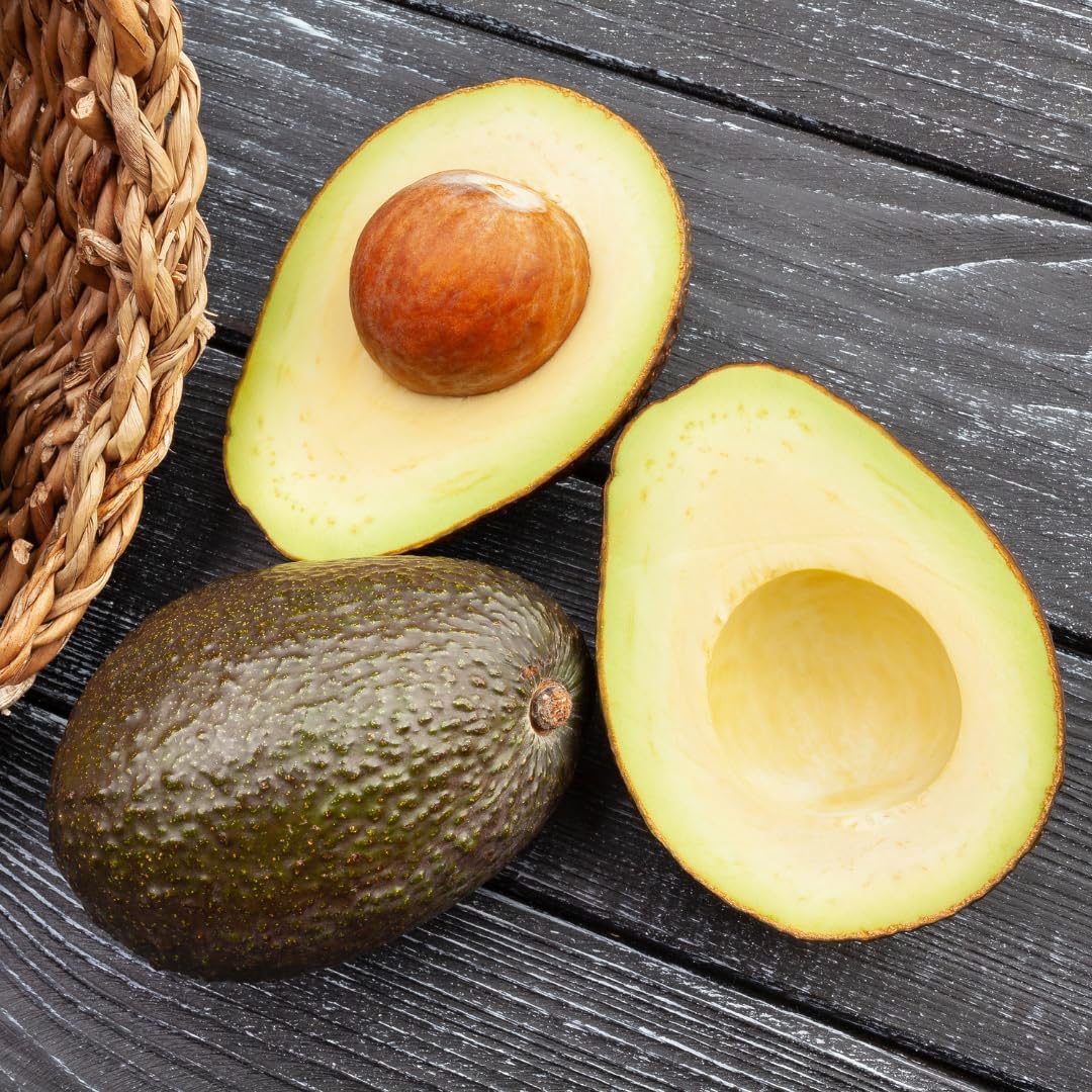 Live HASS Avocado Tree, Grafted Fruit Tree, 1-2 Feet Tall, Hardy Avocado Variety, Ready for Planting, No Ship to CA