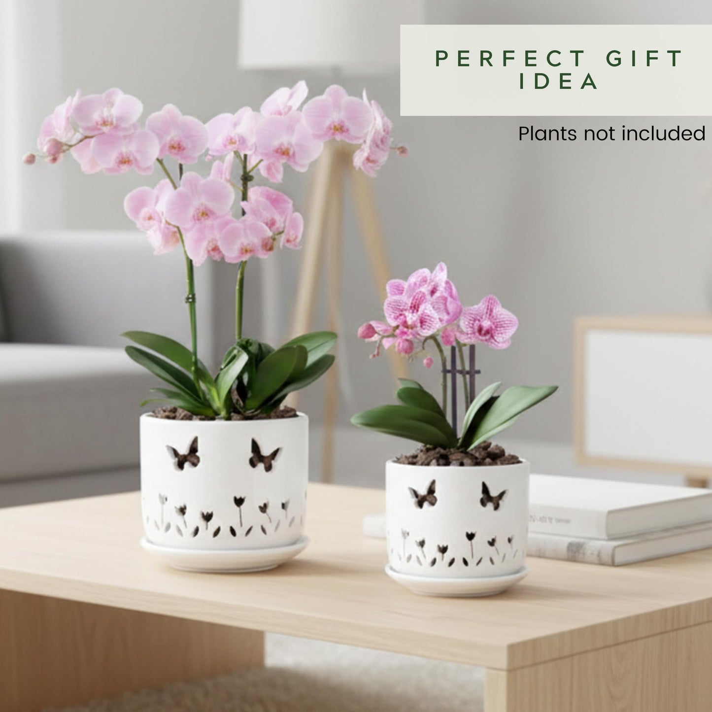 Thriving Thicket 2 Pack, 5 + 6 Inch White Orchid Pots with Butterflies and Tulips Holes and Saucer, Ceramic Orchid Planters for Repotting with Drainage Holes and Tray Indoor Outdoor, Butterfly Gift