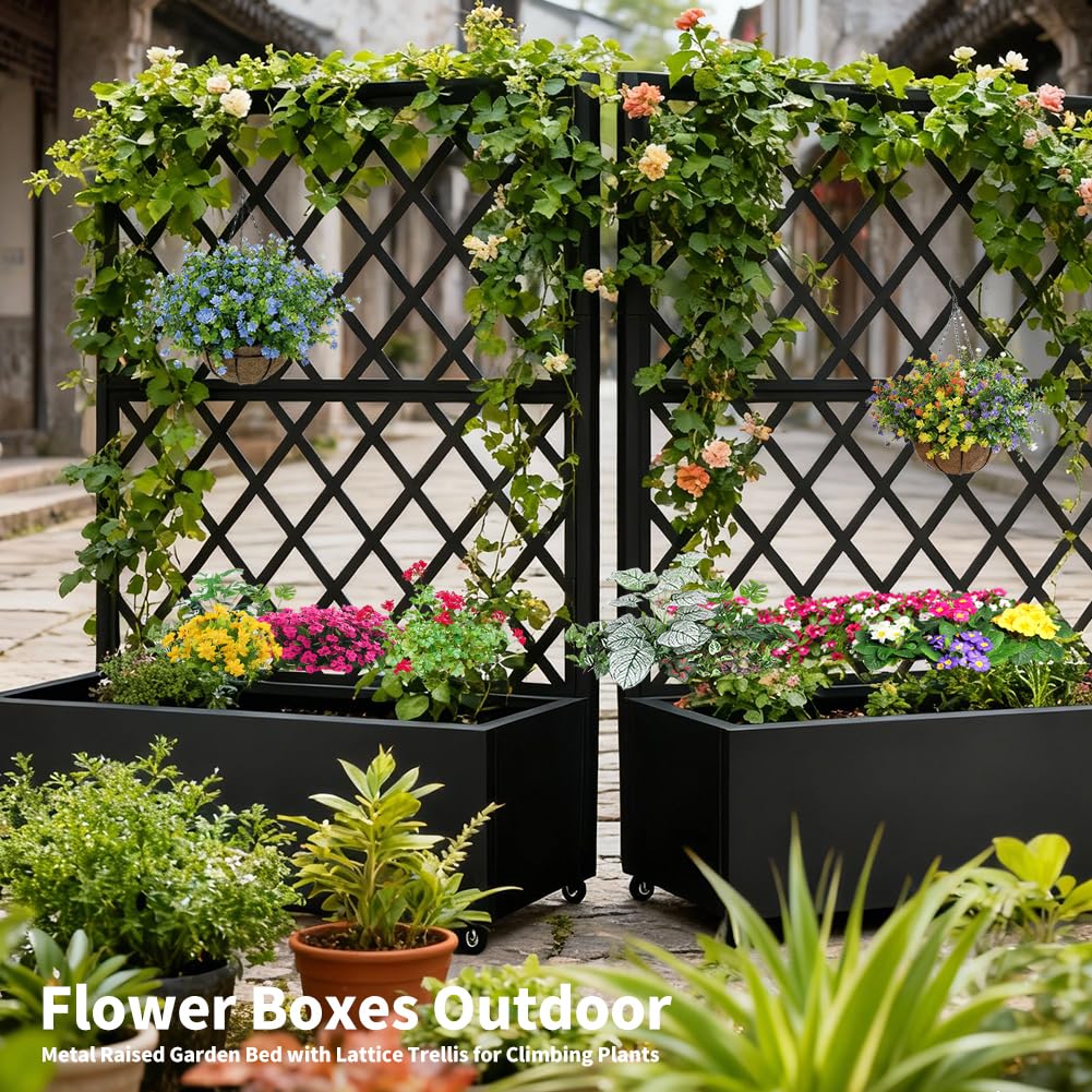 Metal Planter Box with Privacy Screen Trellis,Galvanized Raised Garden Bed On Wheels for Climbing Plants Vines, Standing Garden Flower Bed with Drainage Holes (Black, 35" L x16 W x 55" H)