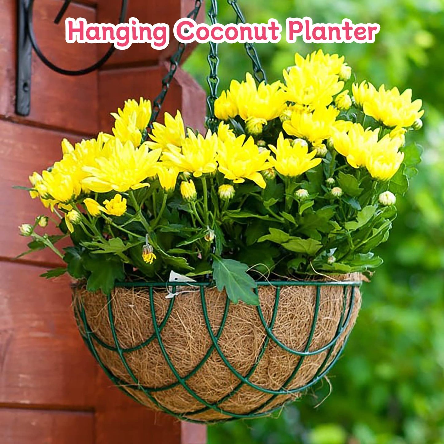 Riare 4 Pack 20 Inch Round Coco Liners Replacement, 100% Natural Coconut Coir Liners for Hanging Baskets, Garden Flower Vegetables Planter Pot, Window Box, Fence, Decks