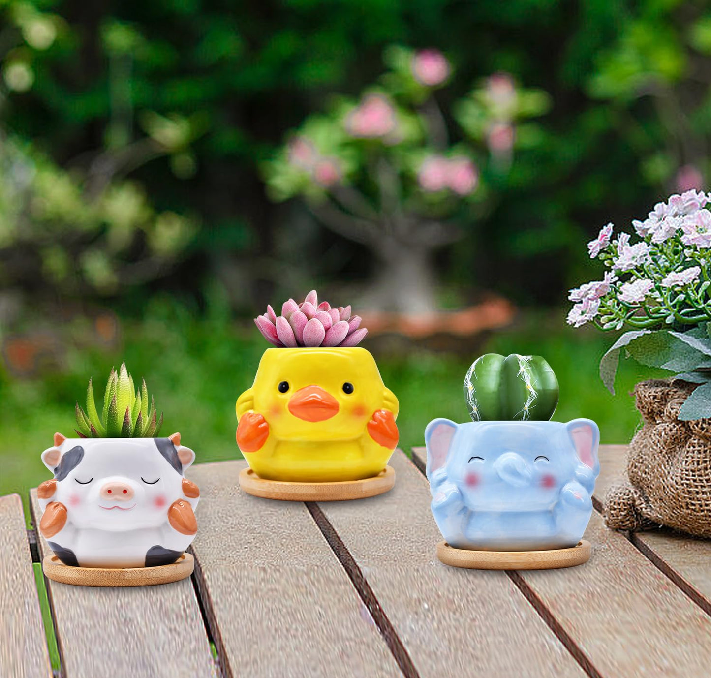 6 Pack Ceramic Succulent Pots with Drainage – Small Animal Planters with Bamboo Trays for Cactus & Indoor Plants, Mini Flower Pots for Desk, Home Decor, Office, Garden, Gift for Plant Lovers