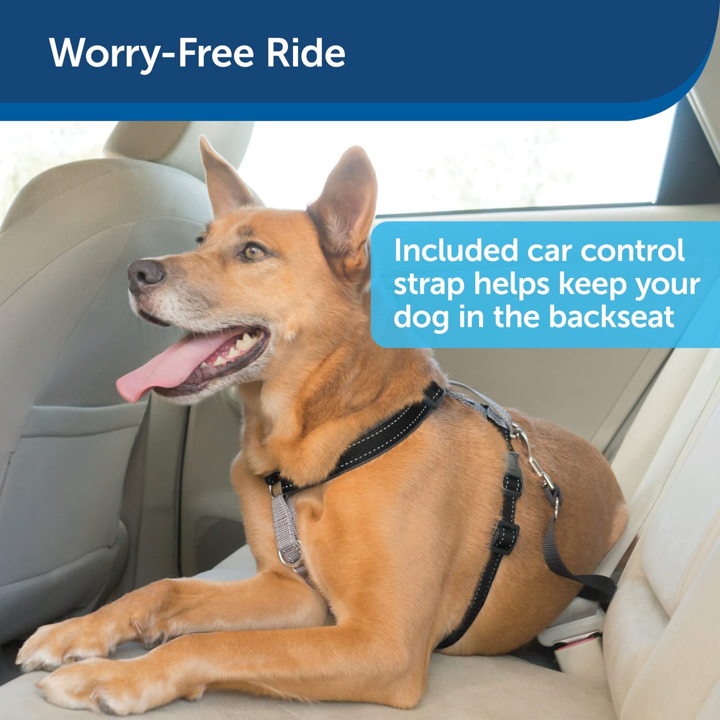 PetSafe 3 in 1 Harness with Two Point Control Leash, No-Pull Harness, Medium, Black, Adjustable