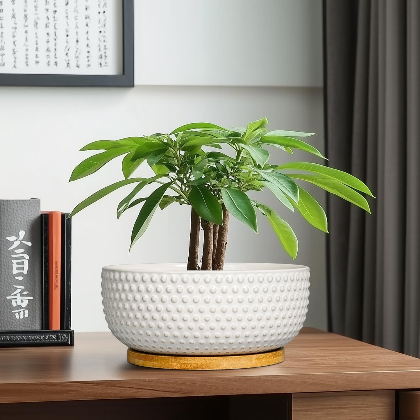 EPFamily Succulent Pots 8 Inch - Ceramic Bonsai Planters for Indoor Plants, Plant Pot with Drainage Hole and Saucer, Shallow Round Flower Planter, Modern Room Decor, Gifts for Plant Lover, White