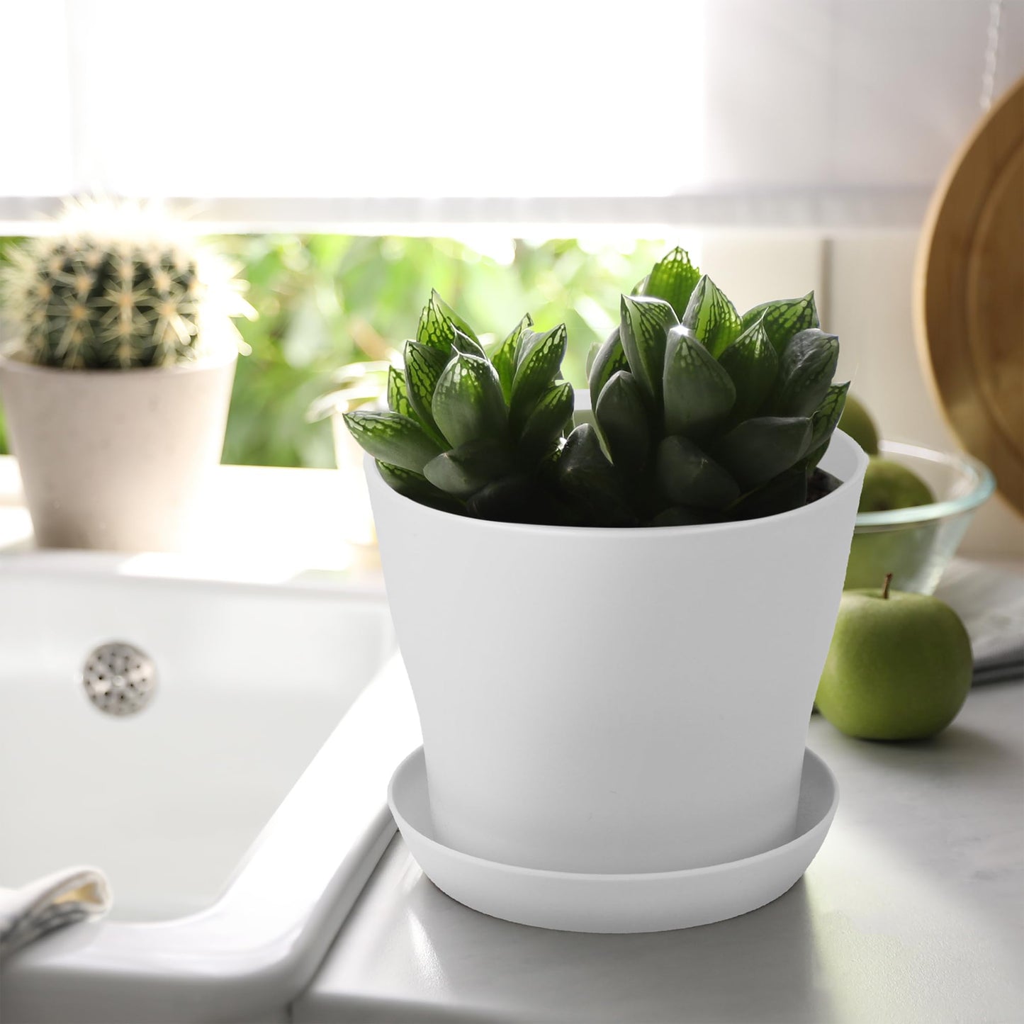 Hahood 36 Pack 5.5 Inch Plastic Plant Pots with Saucers White Flower Plant Container Seed Starting Pots Thickened Seedlings Nursery Pot for Home Garden Indoor Outdoor Flowers