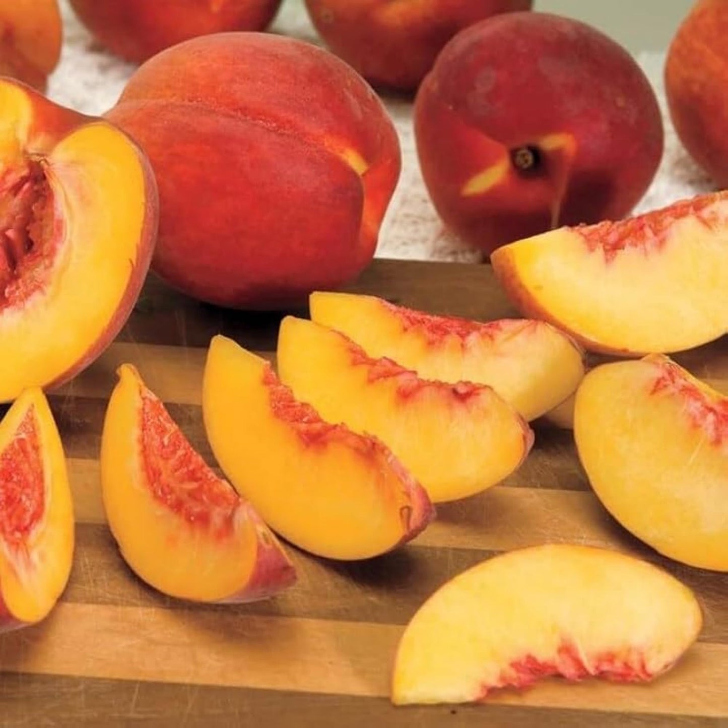 5+ Nemaguard Peach Fruit Tree Seeds for Planting Outdoor - Perennial Fruit Seeds Peach Tree Seeds Non GMO & Heirloom Seeds
