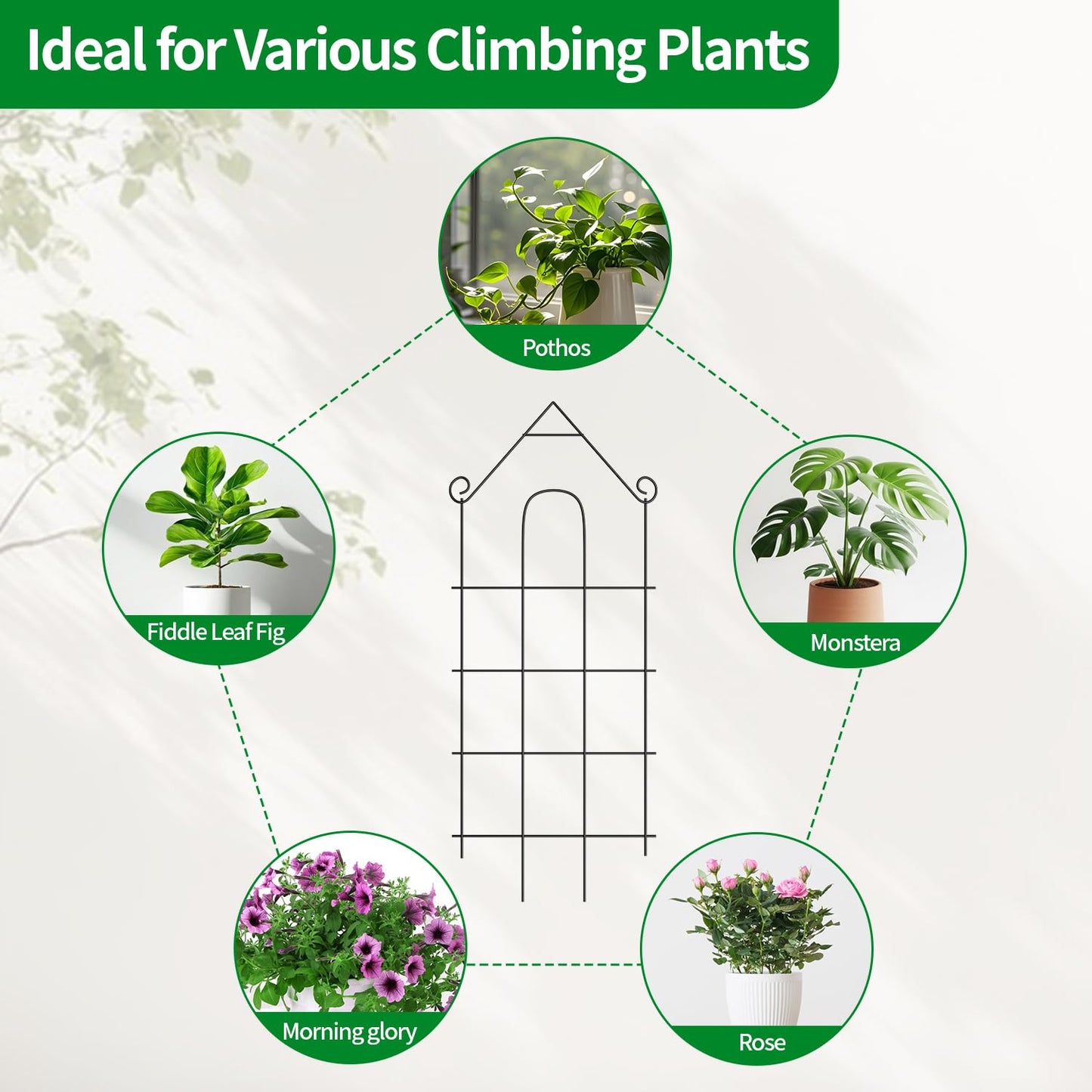 DOLEMODUO 32" Plant Trellis, 6 Pack Metal Garden Trellis for Potted Plants Indoor/Outdoor, Rust-Proof Sturdy Steel Trellis for Climbing Plants, Monstera, Tomatoes, Cucumbers