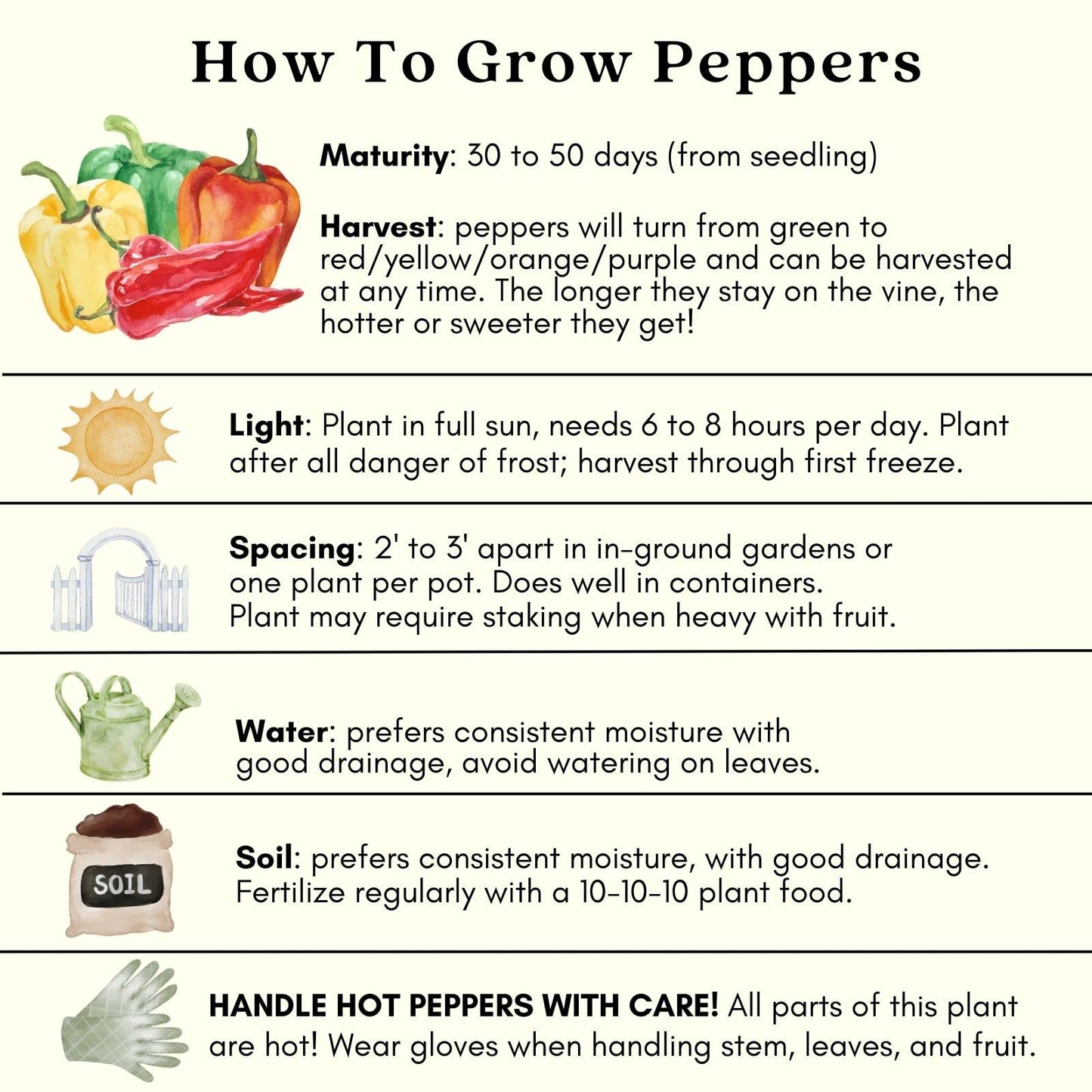 Clovers Garden Gypsy Sweet Pepper Plants– Two (2) Live Plants – Non-GMO - Not Seeds - Each 4" to 8" Tall – in 4" Inch Pots - Sweet Elongated Shape, Large Fruits