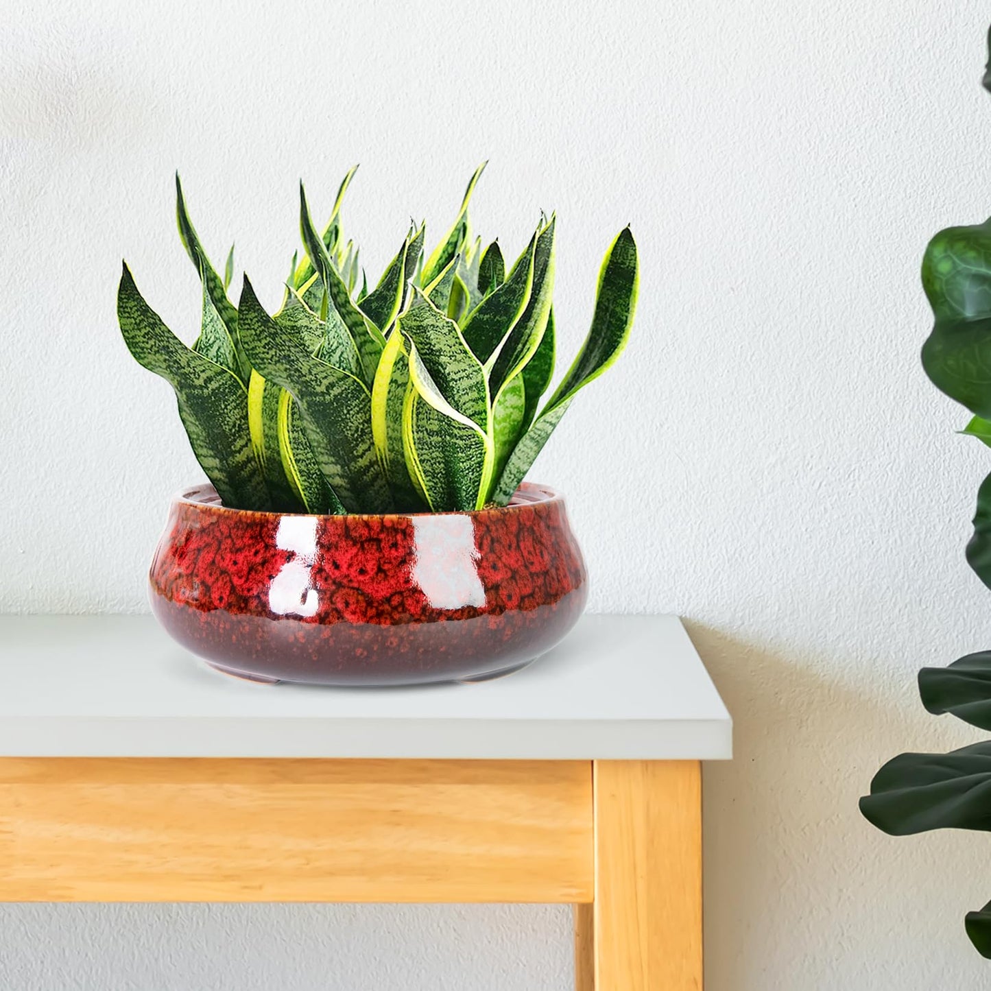 ARTKETTY Succulent Pots - 8 Inch Plant Pot, Large Bonsai Pots with Drainage, Ceramic Planters for Indoor Outdoor Plants, Round Shallow Cactus Flower Plant Container Bowl Decorative Home Garden
