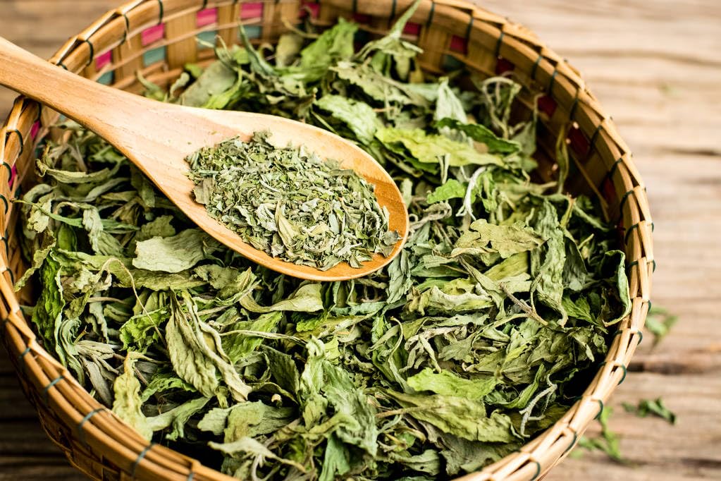 150+ Stevia Sweetleaf Seeds for Planting, Sugar Leaf Stevia Plant Seeds, Natural Sweetener Herb Seeds, Perennial Plant for Home Garden, Container, Tea & Sugar-Free Recipes, Non-GMO