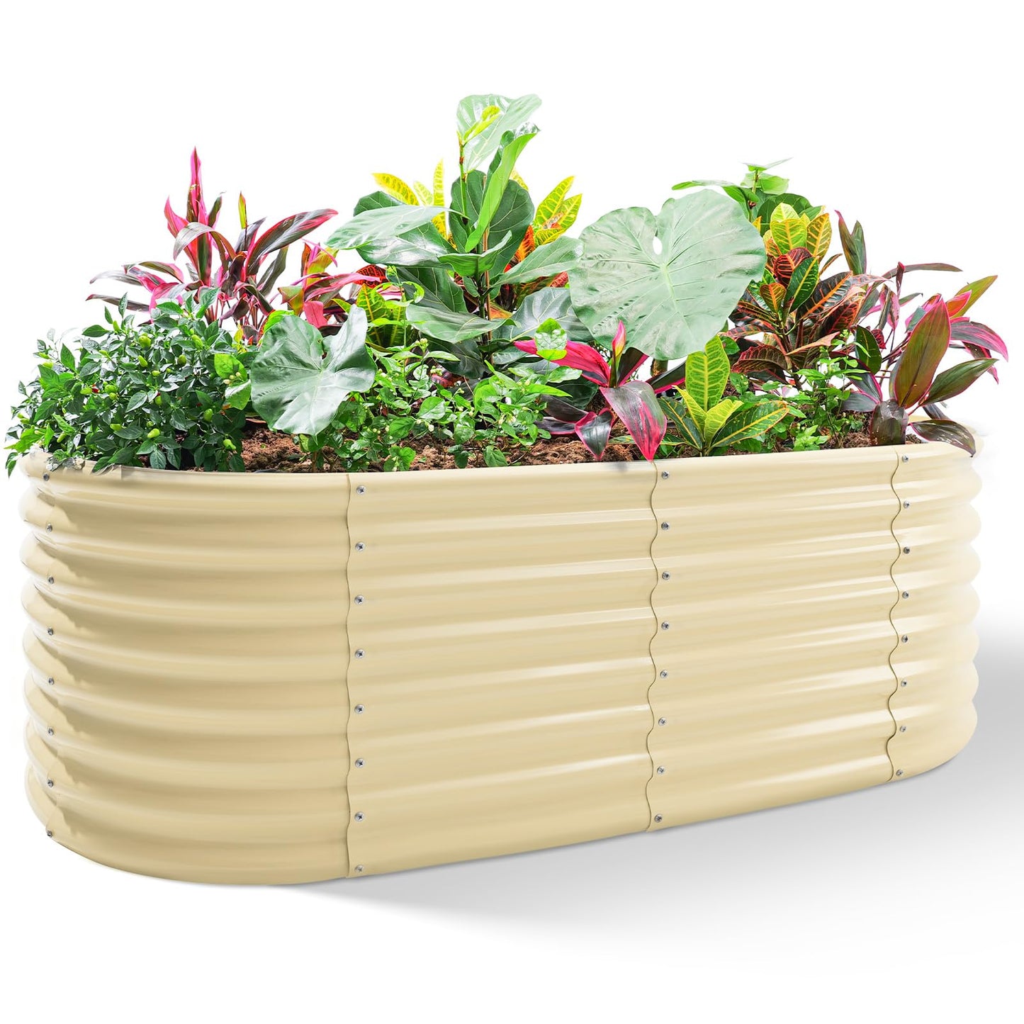 Land Guard 24“ Tall 4×2ft Galvanized Raised Garden Bed Kit, Galvanized Planter Garden Boxes Outdoor, Oval Large Metal Raised Garden Bed for Vegetables (Cream Yellow, 4×2×2ft)