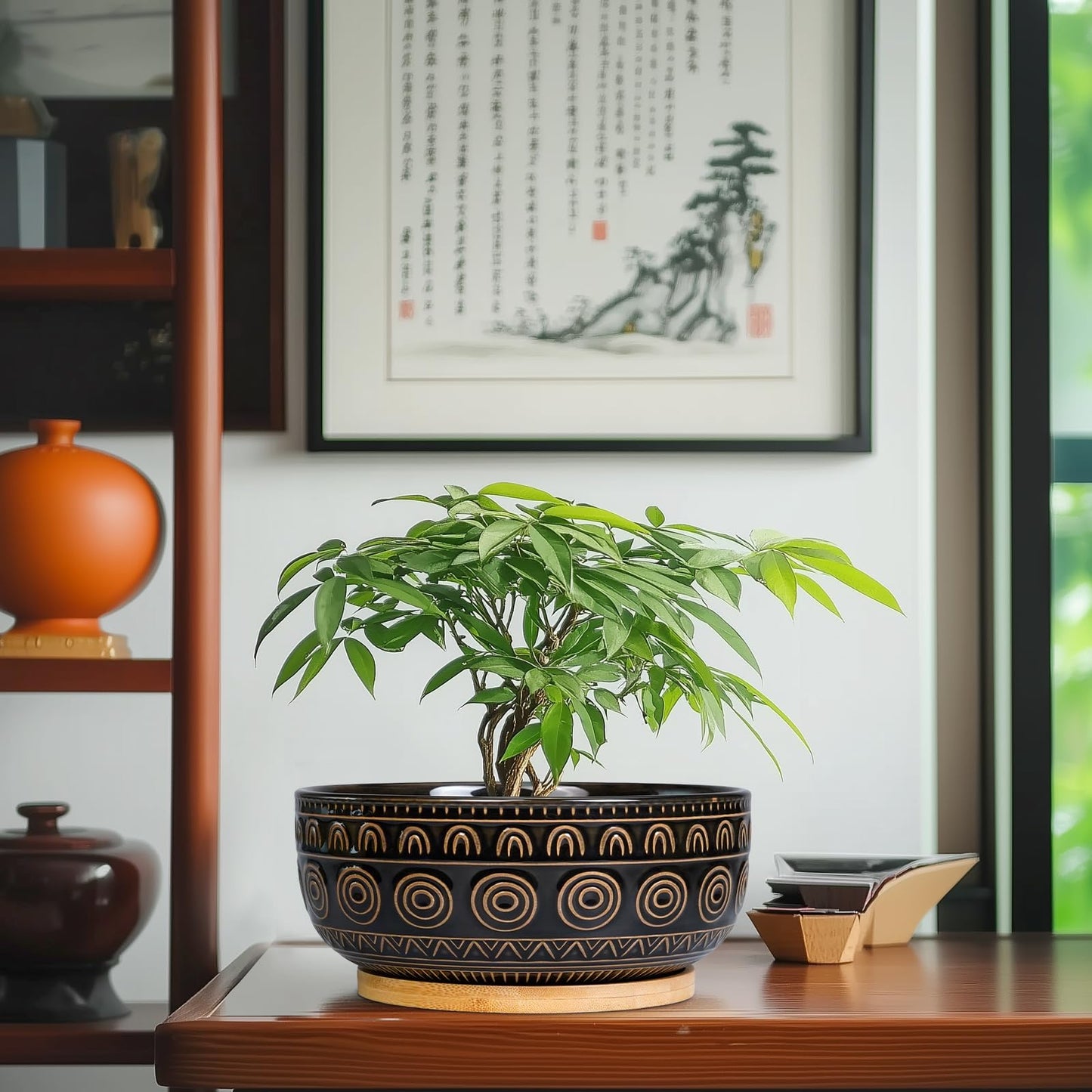 Eightpot Ceramic Bonsai Pots - 8 Inch Plant Pot for Succulent, Round Planter for Indoor Plants, Shallow Planters with Drainage Hole and Tray, Boho Bonsai Bowl, Living Room Decor, Black