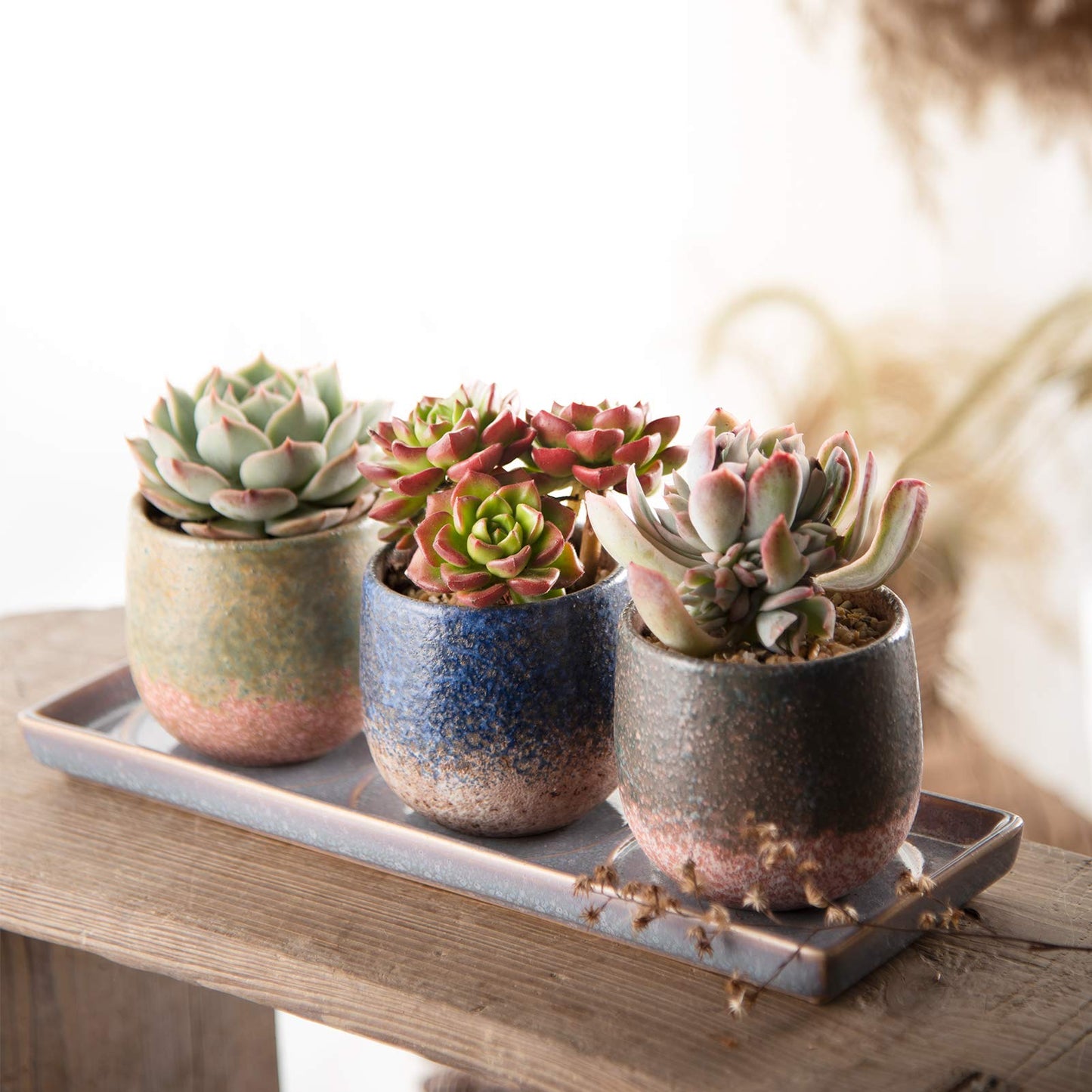 CEEFU 3 Inch Ceramic Succulent Planter Pot Planting Pot Flower Pots Small Planter Pots for Indoor/Outdoor Mini Plant, with Drain Hole and Ceramic Saucer