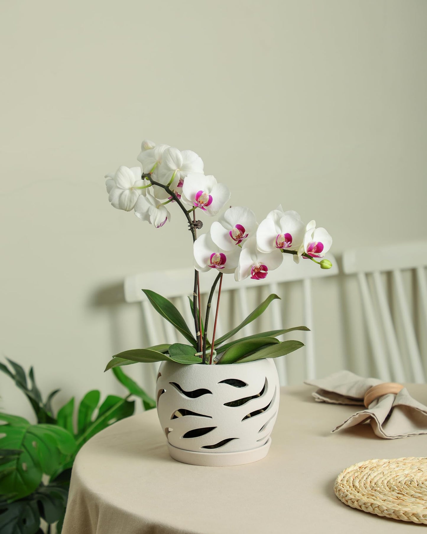 Fayoula Ceramic Orchid Pot with Holes & Saucers, 5.5 inch Plant pots for Indoor and Outdoor use, Wind-Worn Texture Cutout Promoting air Circulation and Drainage(Pots Only)