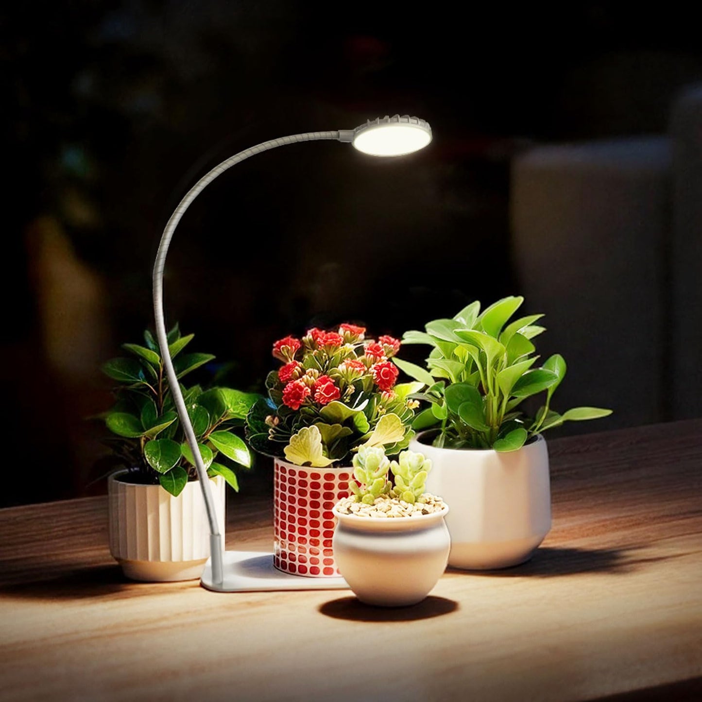 SGLEDs Desktop Indoor Plant Grow Light, 12W Full Spectrum,Plant lamp with 4 Dimmable & 3 Timer Modes, 360° Gooseneck Plant Lights for Office Desk Small Grow Lights for Indoor Plants(White)