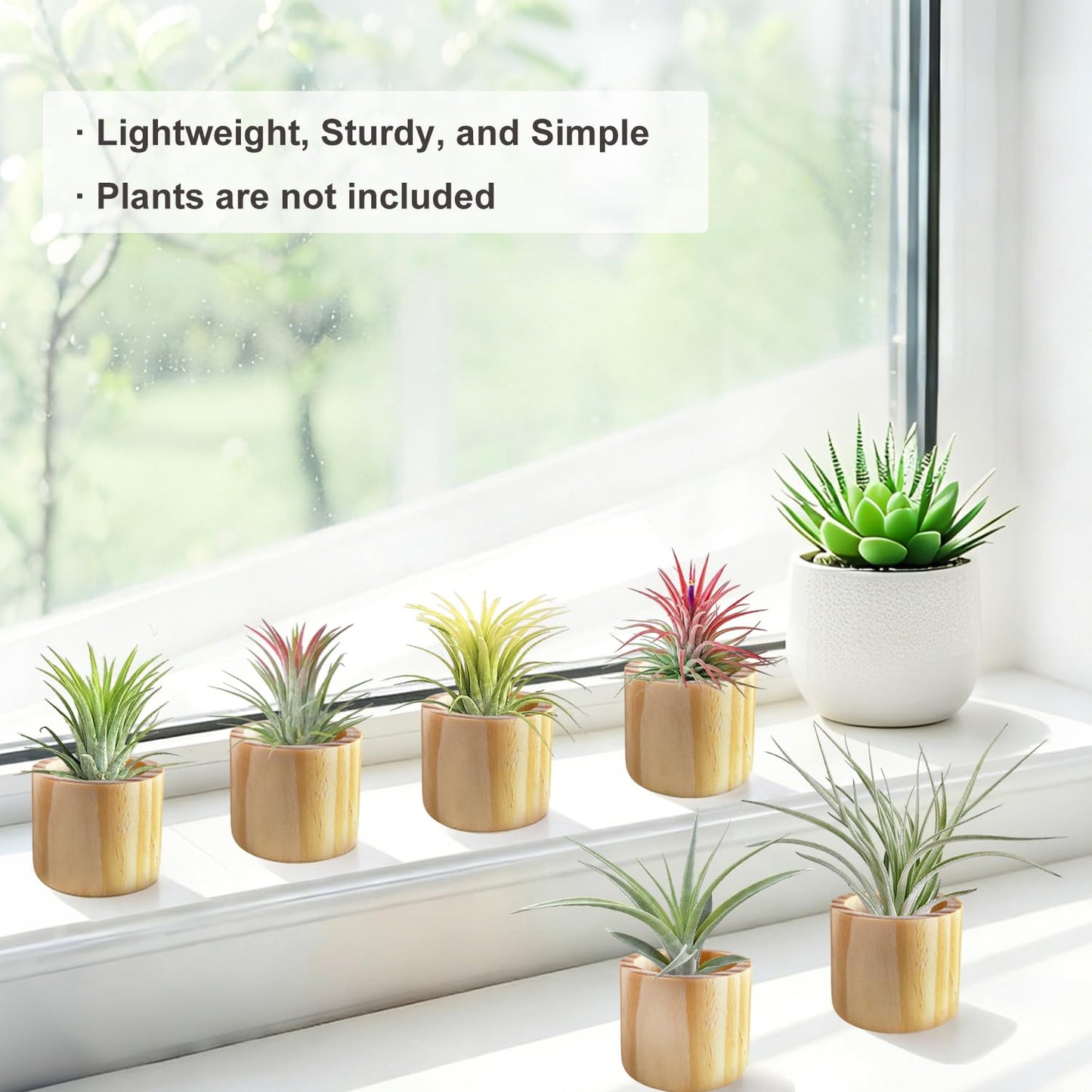 Belit 6 Pcs Air Plant Holder, Large Wooden Air Plants Live Holders for Home Decor (NO Plant Included)