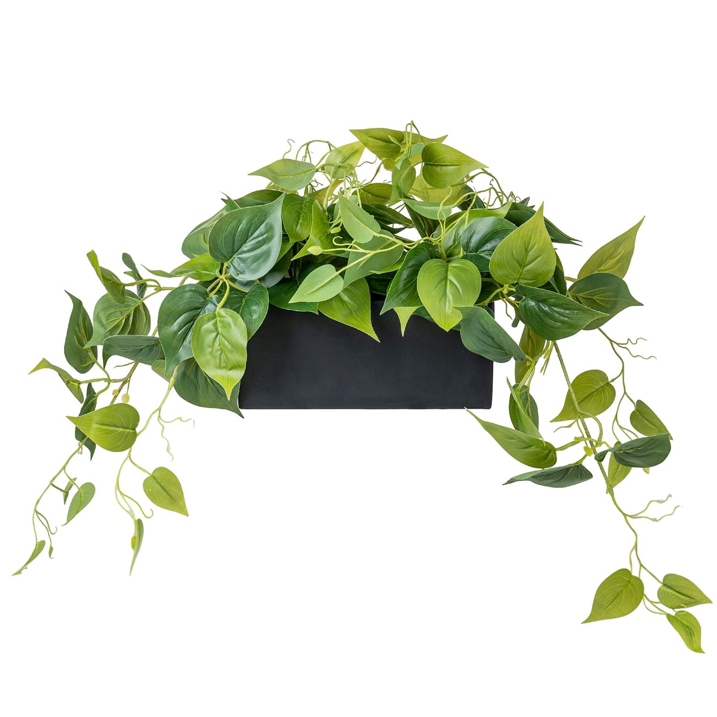 MyGift Vibrant Lifelike Artificial Plant Pothos Leafy Vine Greenery in Black Concrete Rectangular Planter Box