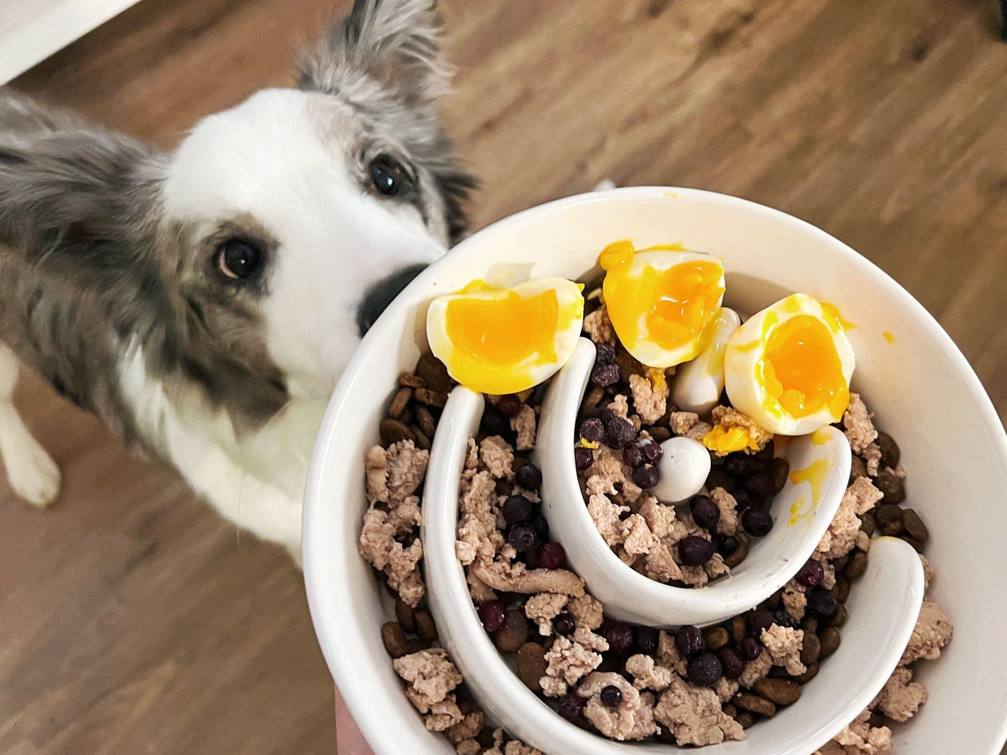 Slow Feeder Dog Bowl - 1.5 Cups Ceramic Puzzle Feeder for Small & Medium Breeds, Maze Design Bowl for Puppy & Fast Eaters, White Pet Dish to Control Eating Speed