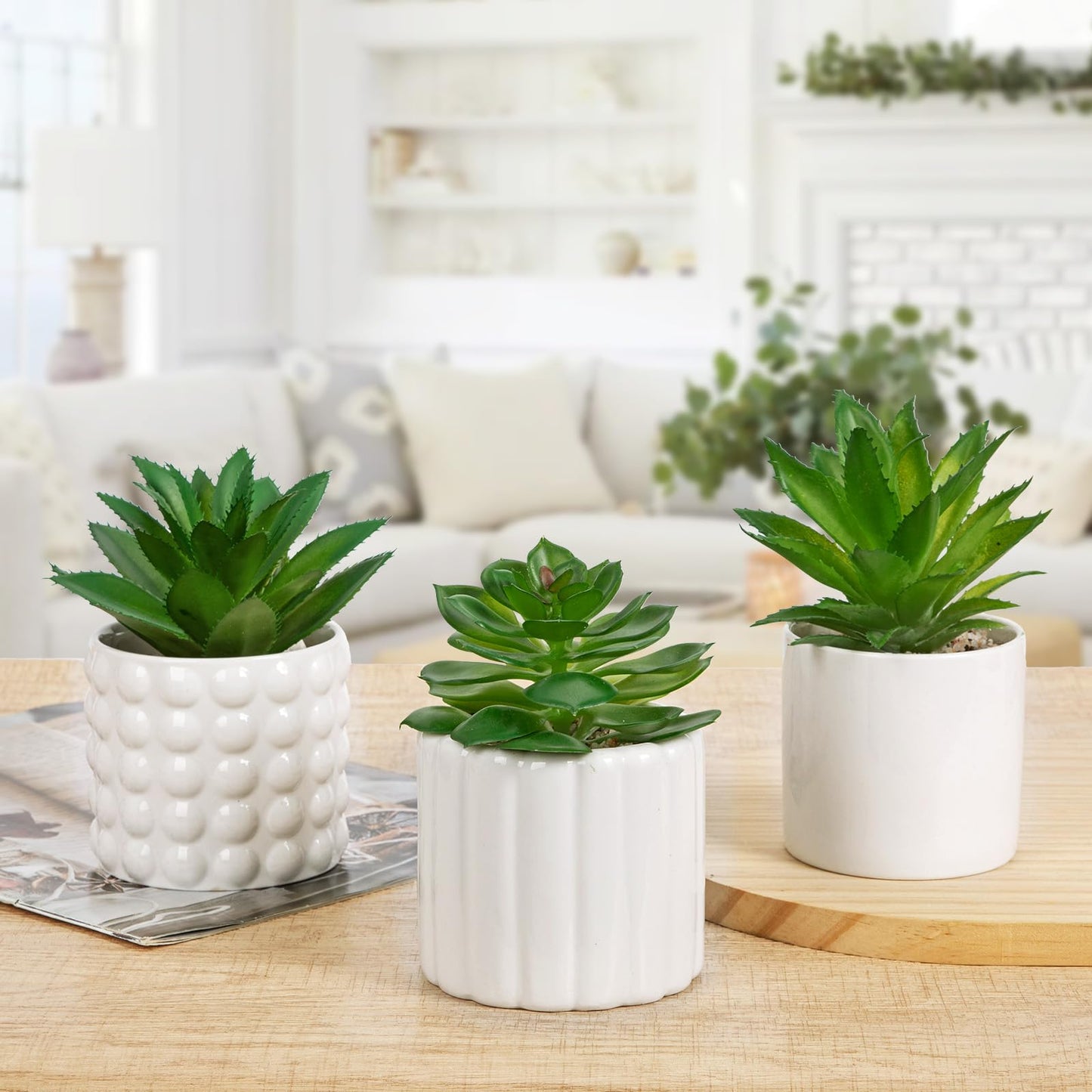 Briful Succulents Plants Artificial in White Ceramic Pots (Set of 3), Small Fake Plants for Home Office Desk Decor – Modern Mini Potted Succulents for Bathroom, Bedroom, Living Room Table, Shelf