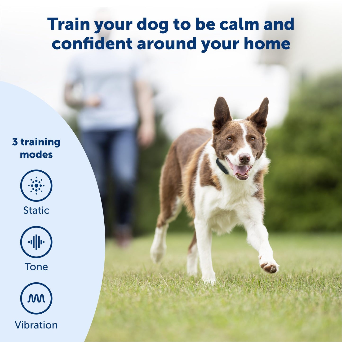 PetSafe Remote Trainer Dog Training Collar - 3 Training Modes: Tone, Vibration, 15 Levels of Static Stimulation, Standard for Dogs Over 8lb+ - Waterproof, Durable, Rechargeable - 100 Yards (300 Feet)